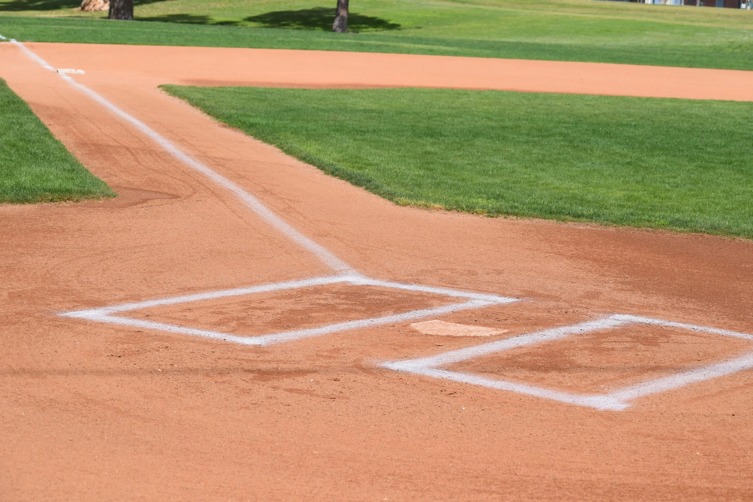 Field Clean-Up Day
