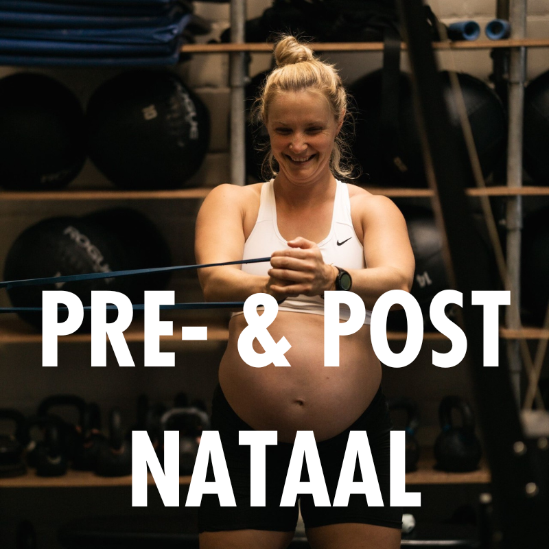 Een zwangere vrouw doet veilige krachtoefeningen met een weerstandsband onder begeleiding bij Black Oak Turnhout.