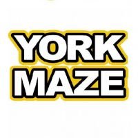 45918_1_york-maze.jpg