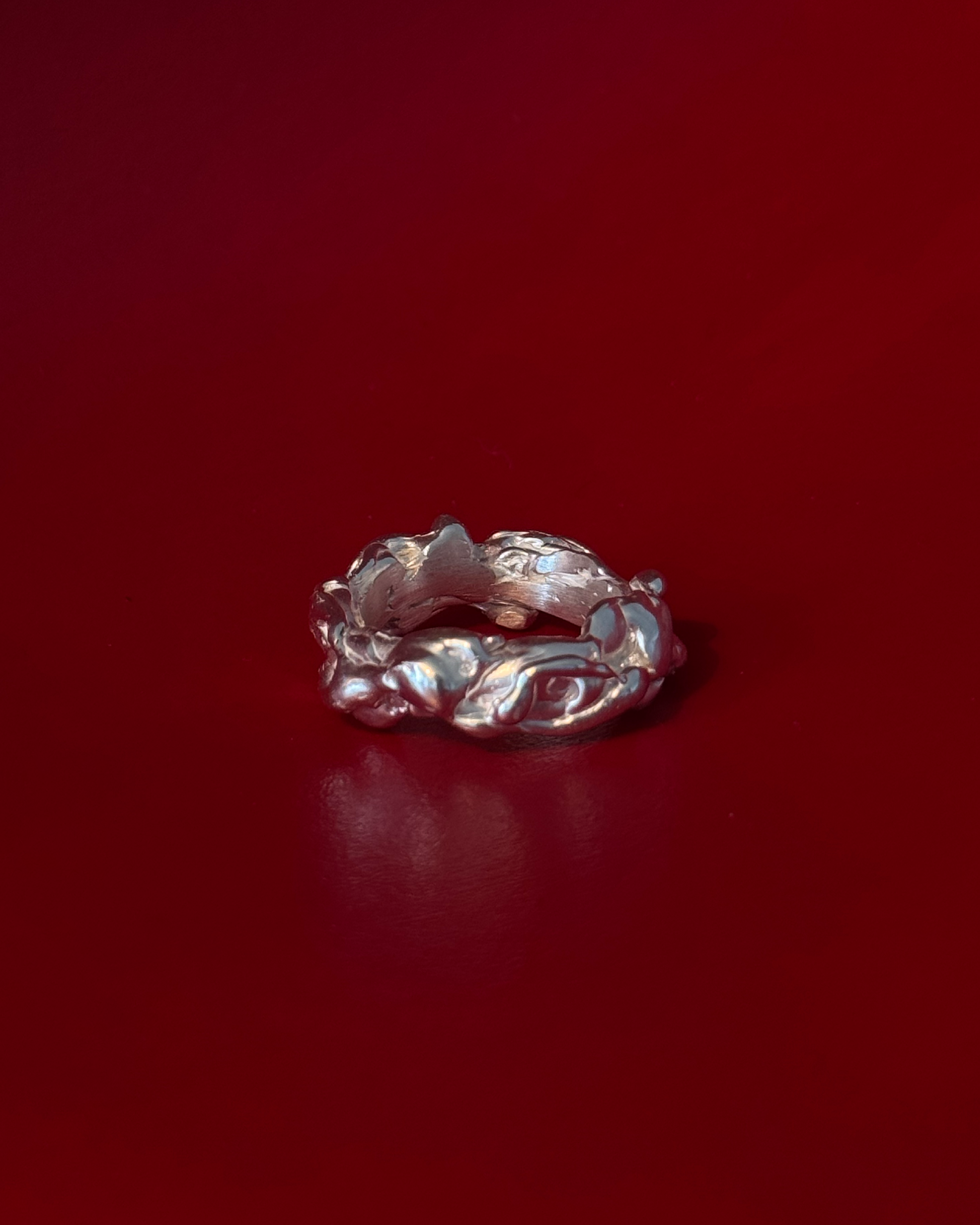 Silverring #10 [size 55]