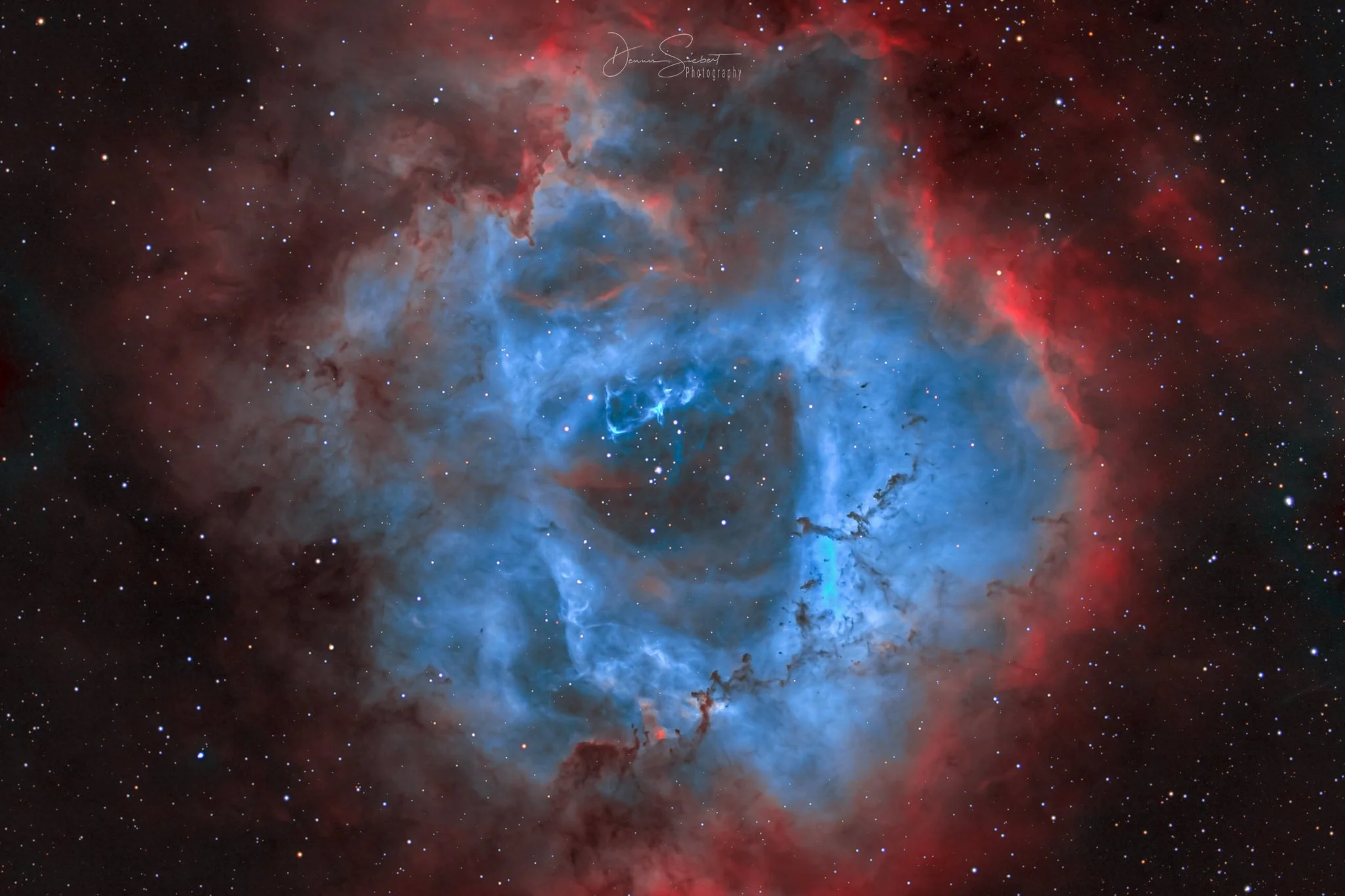 Rosettennebel NGC 2244