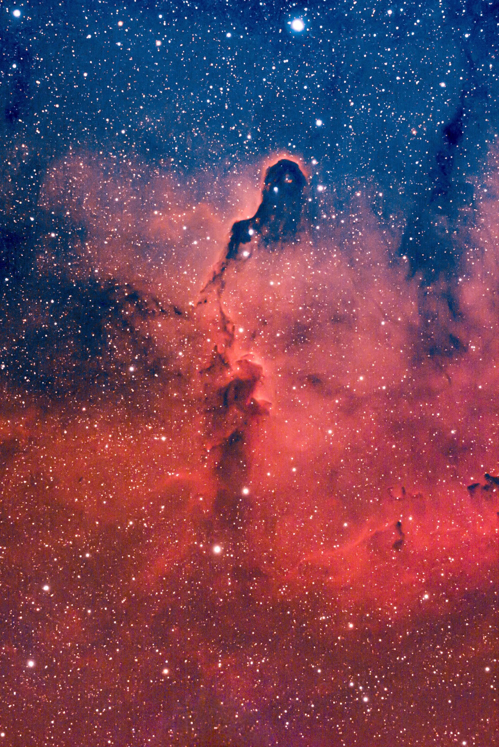Elefantenrüsselnebel IC 1396A