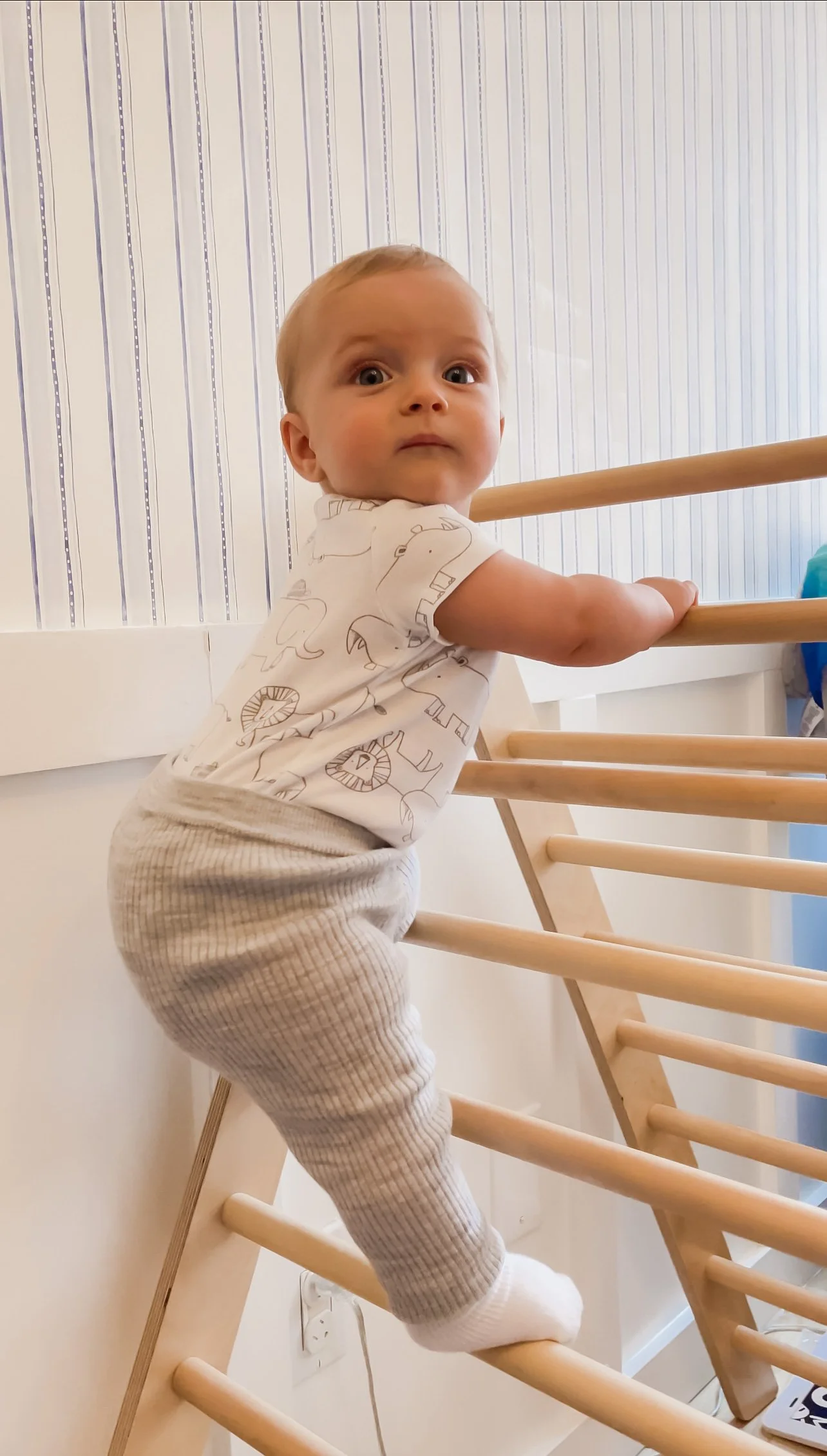 The pikler is a great item for a Montessori nursery