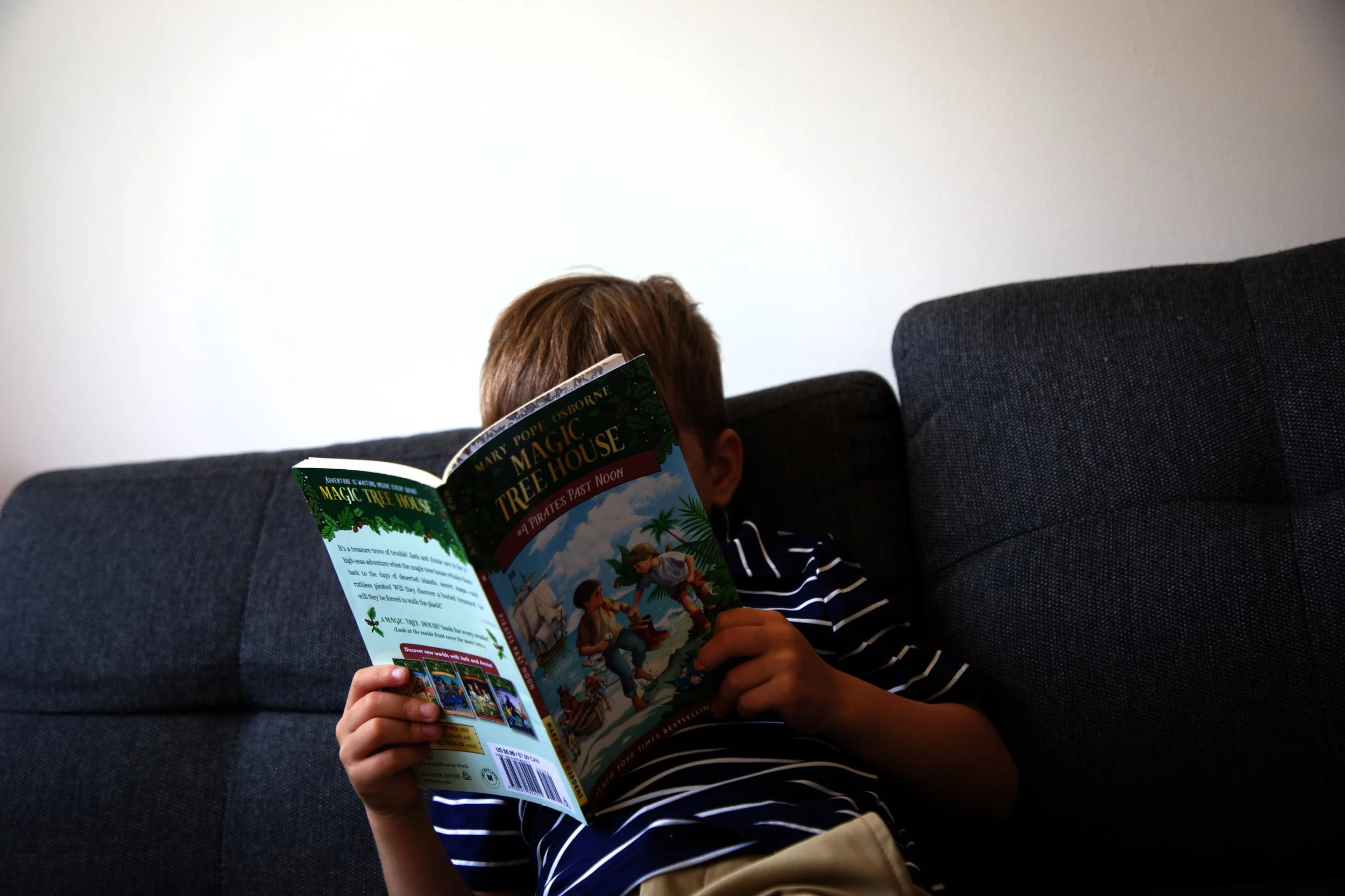 The Best Early Chapter Books