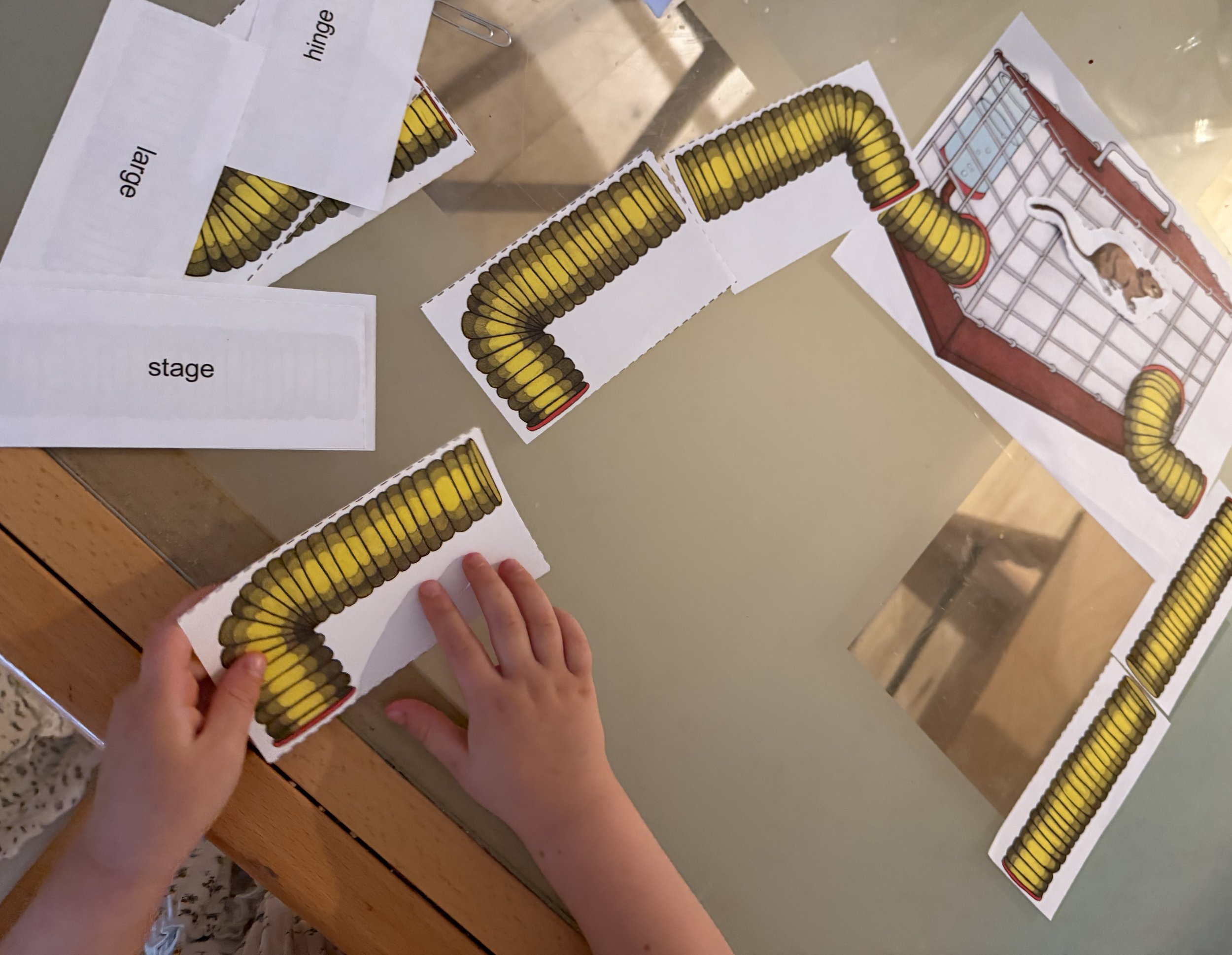 All About Reading activities