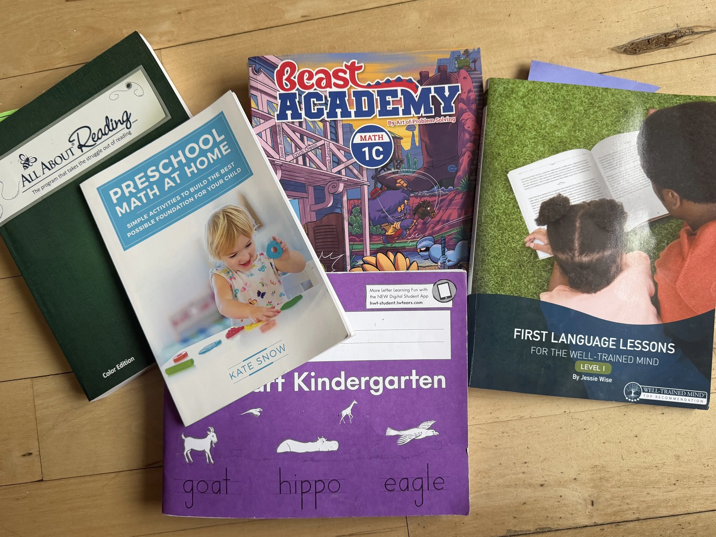 preschool and preK curriculum year in review