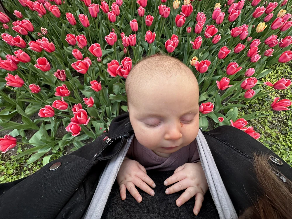 The Best Baby Carriers How to Choose the Right Baby Carrier — Home and