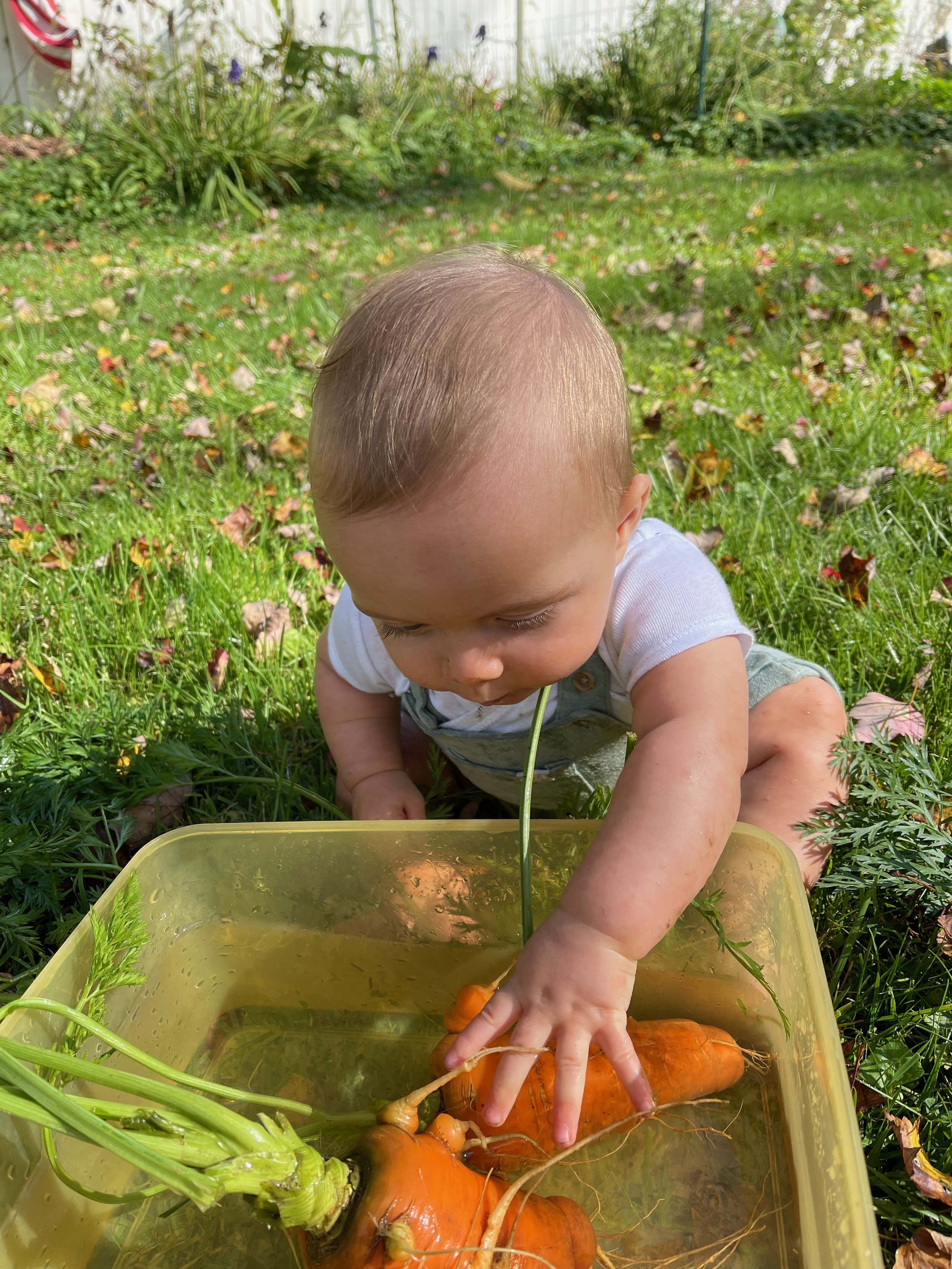 Cooking with Toddlers: Where to Start — Home and on the Way