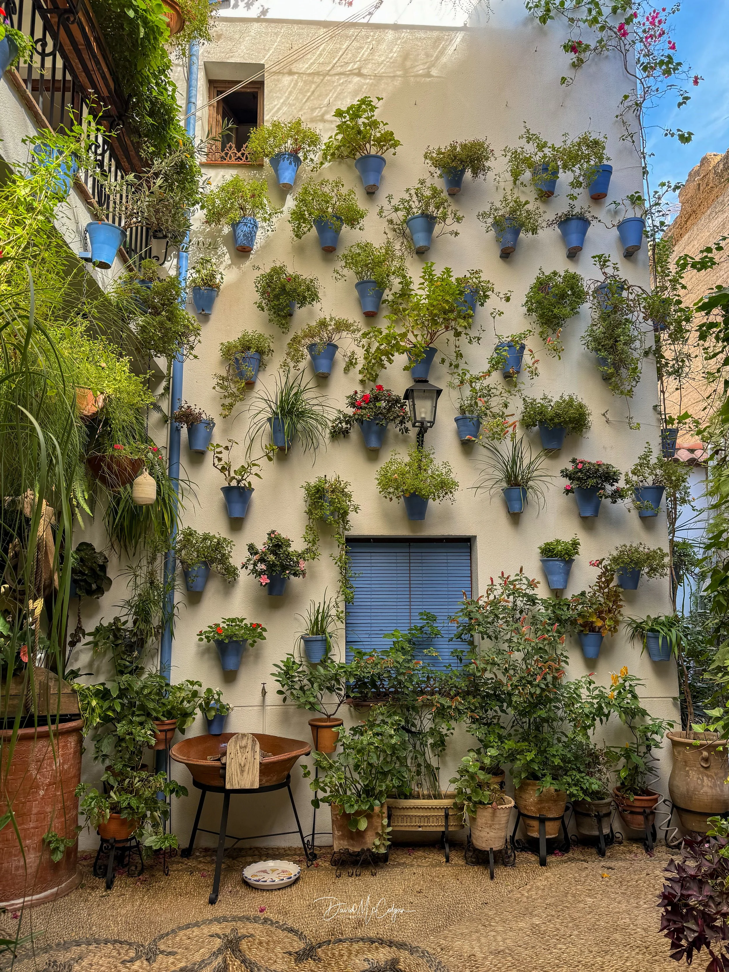 Patio Flowerpots