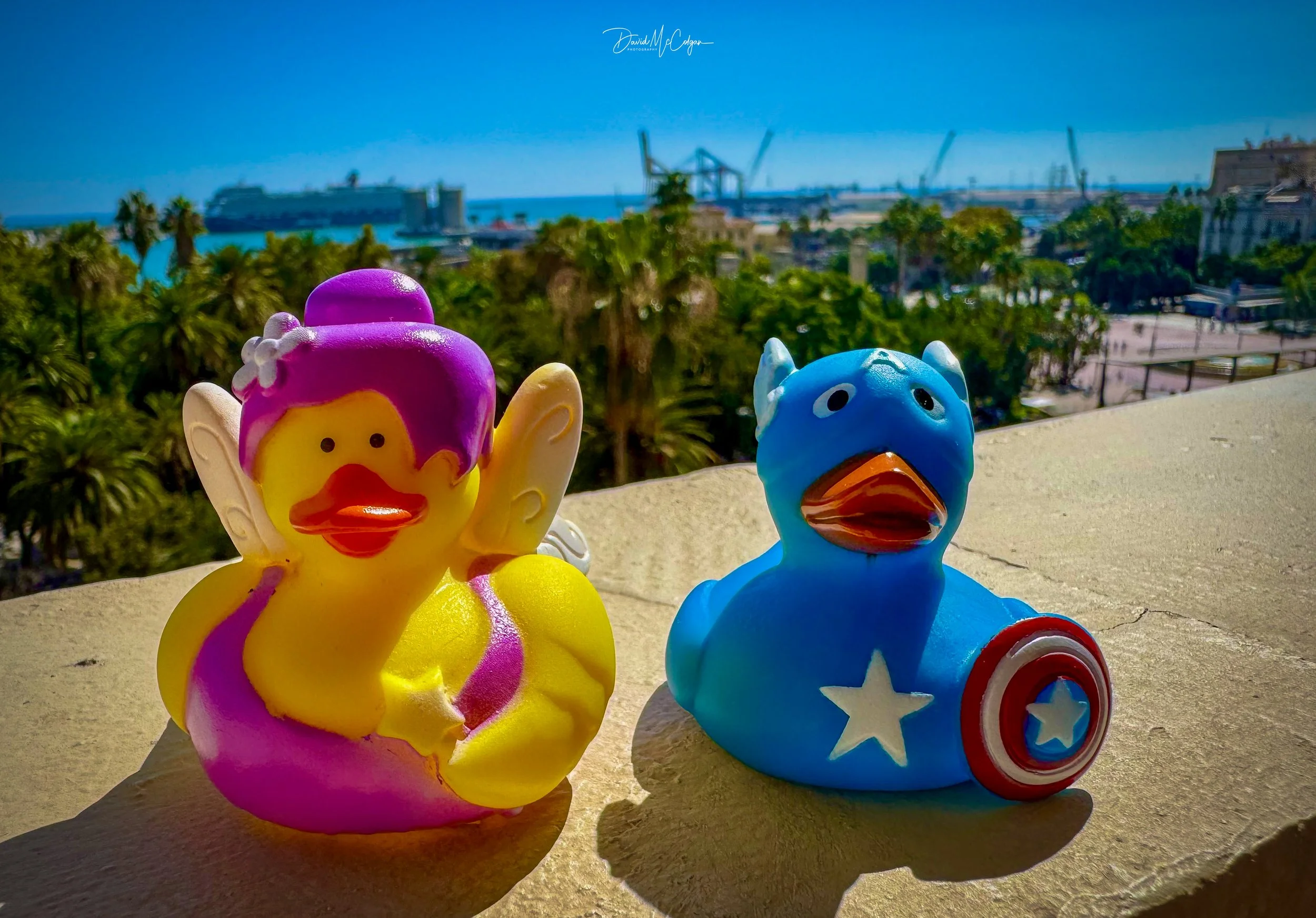 Ale Hop Rubber Ducks