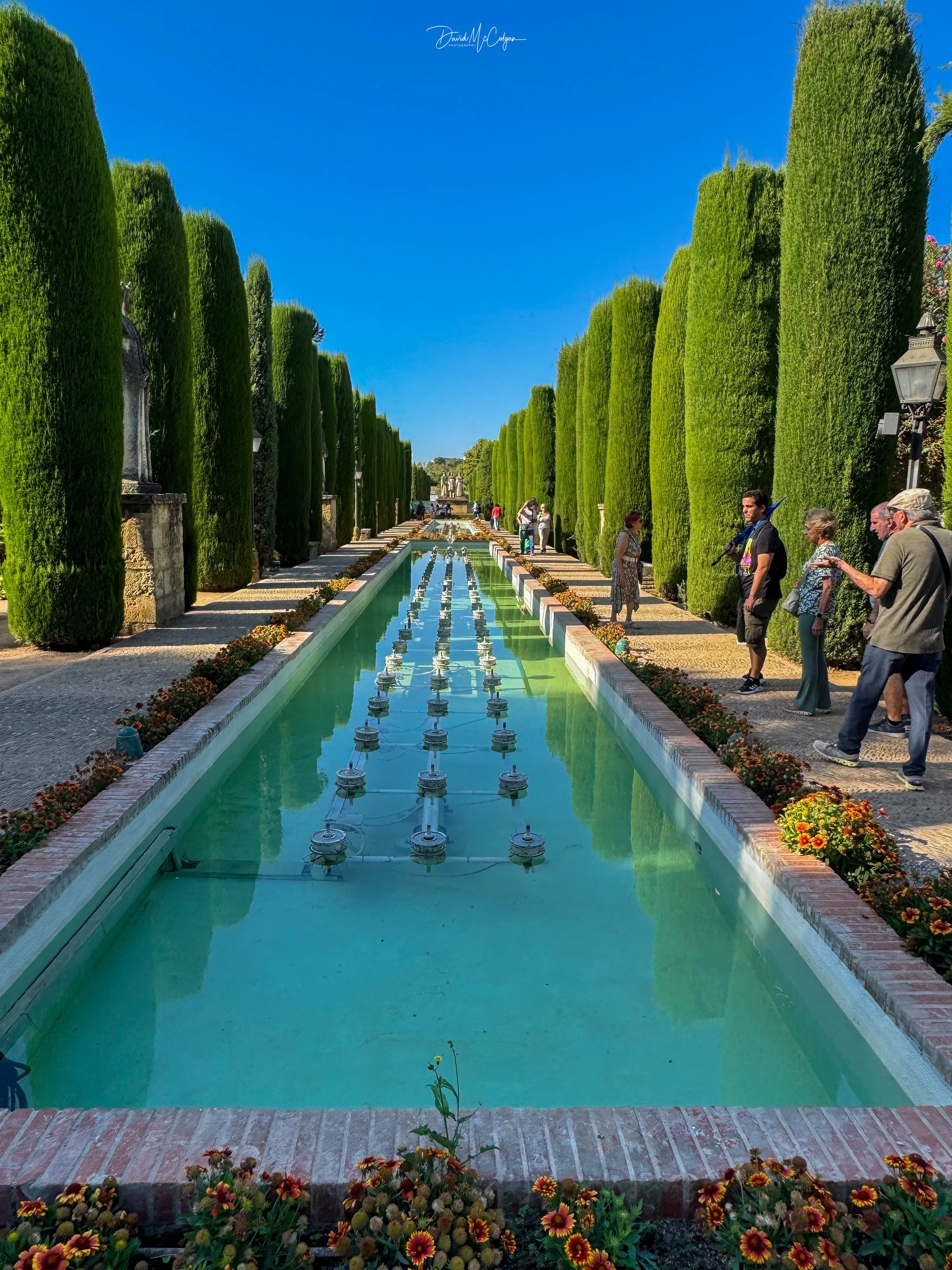 Jardines del Alcázar