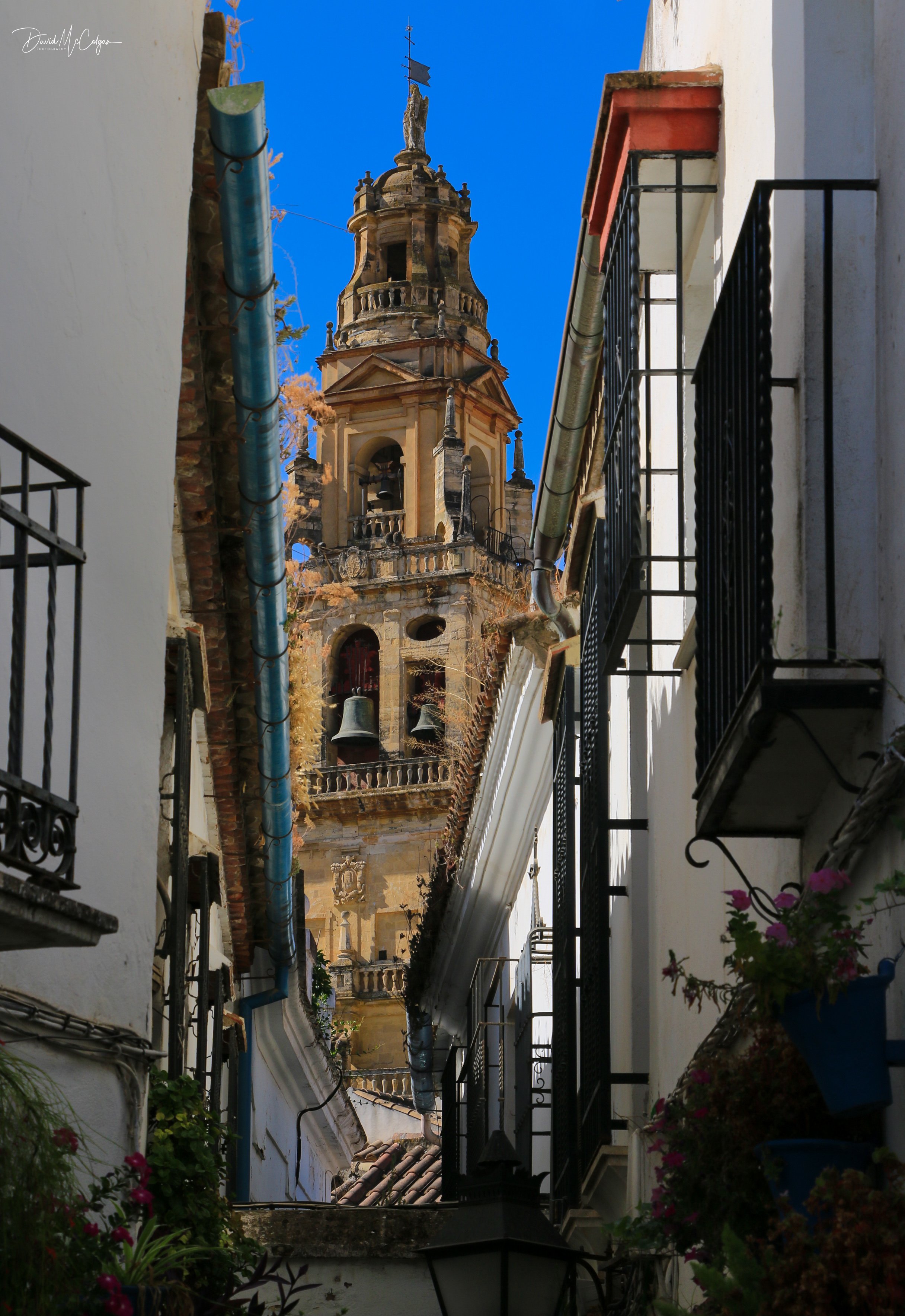Torre Campanario from Calleja de las Flores