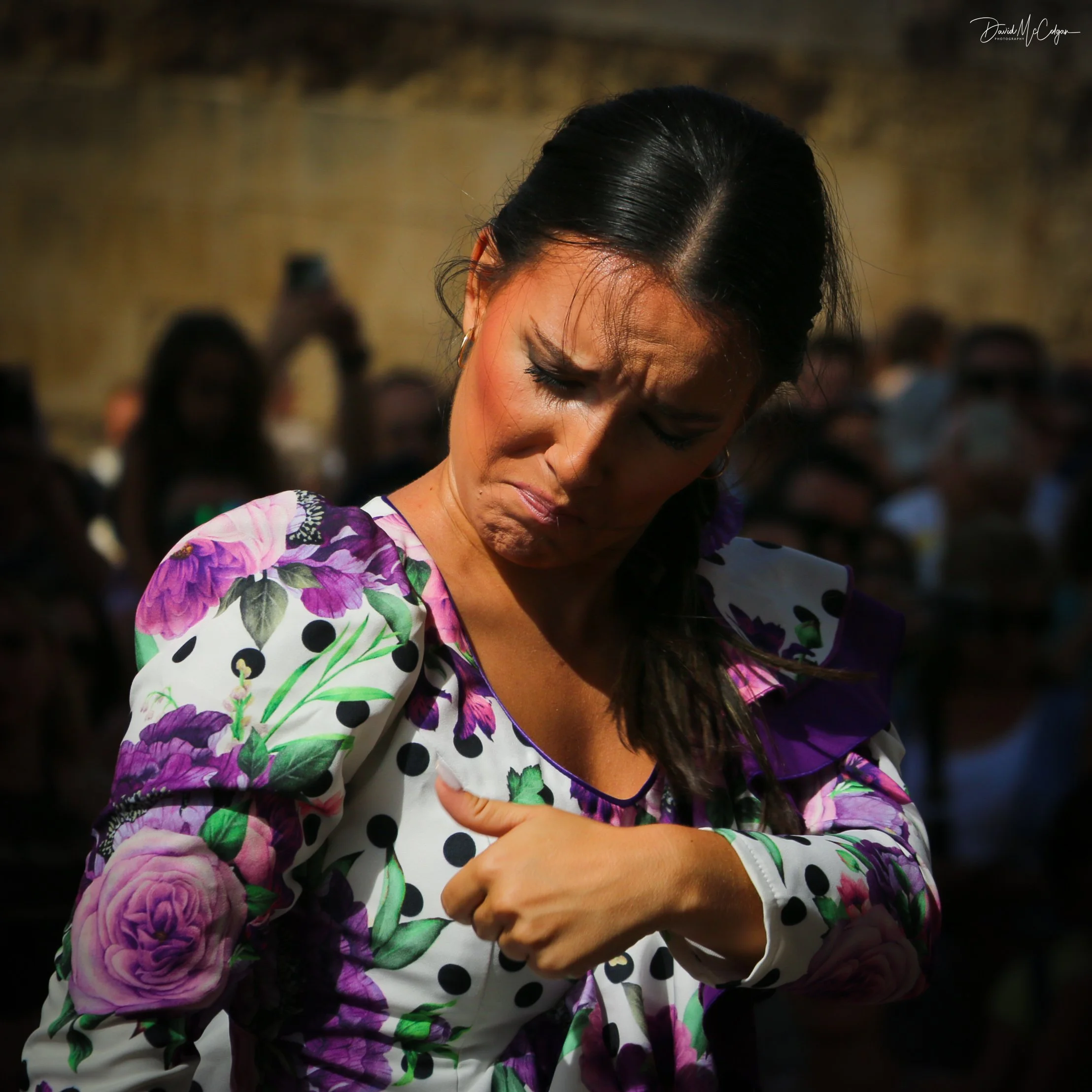 Flamenco Dancer