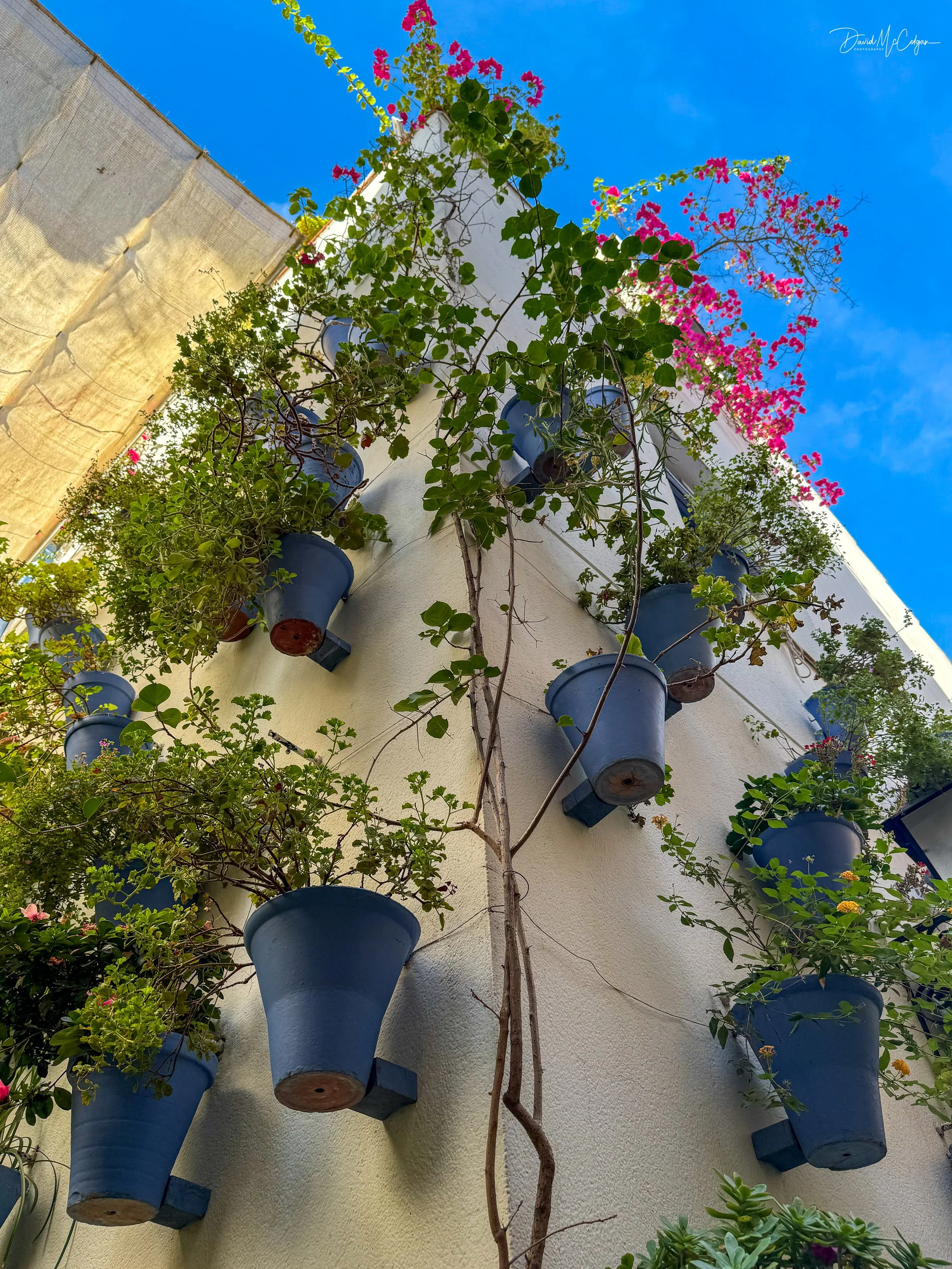 Patio Flowerpots