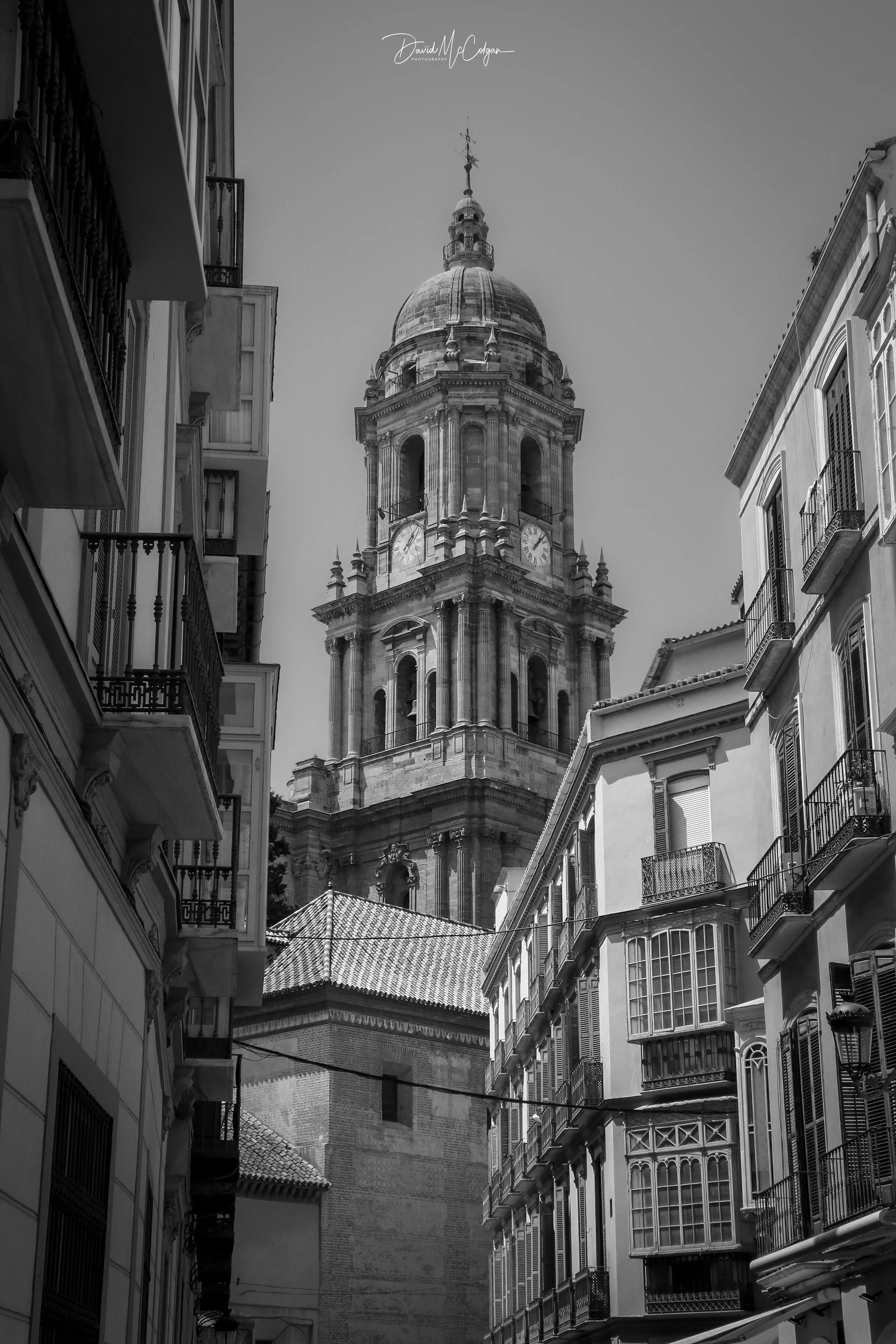 IMG_1964.JPG