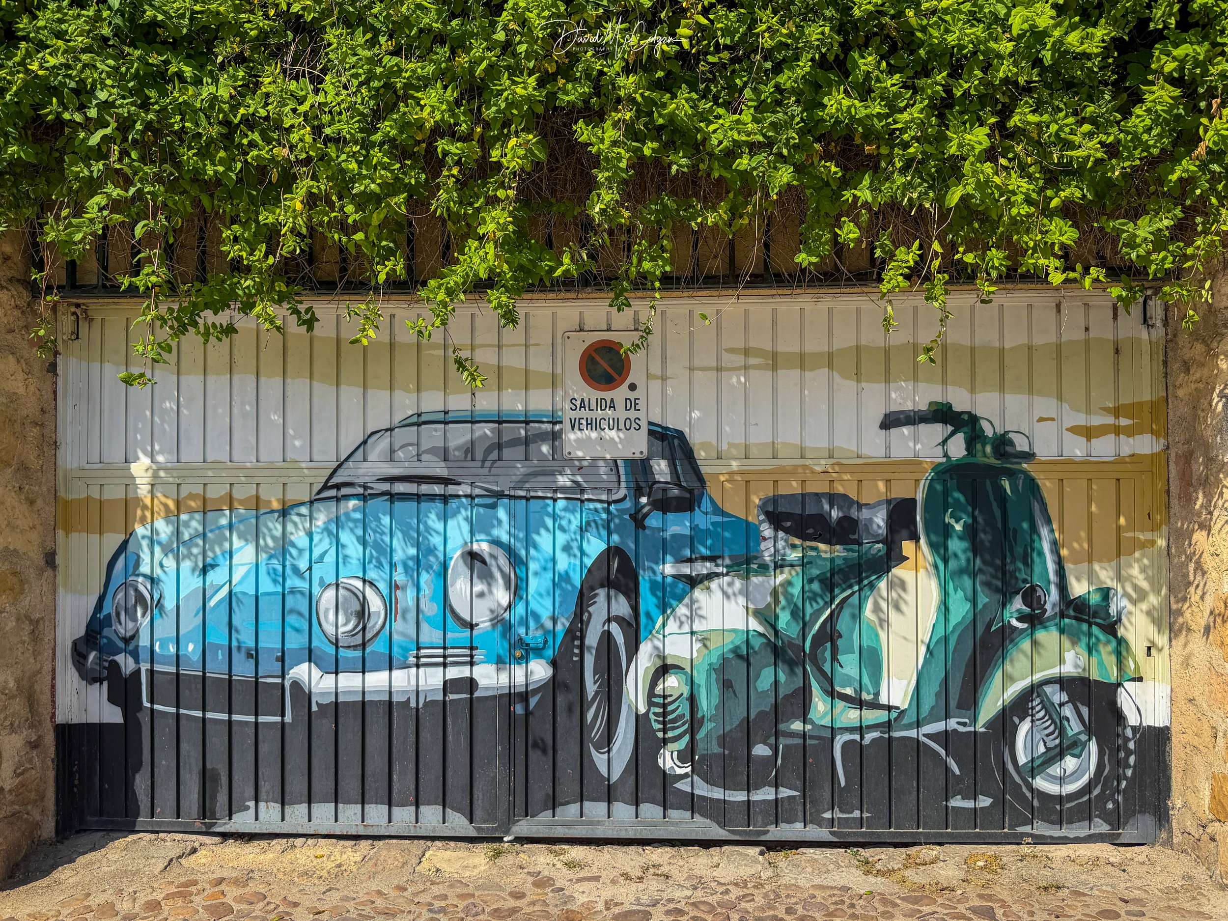 Garage Door Mural
