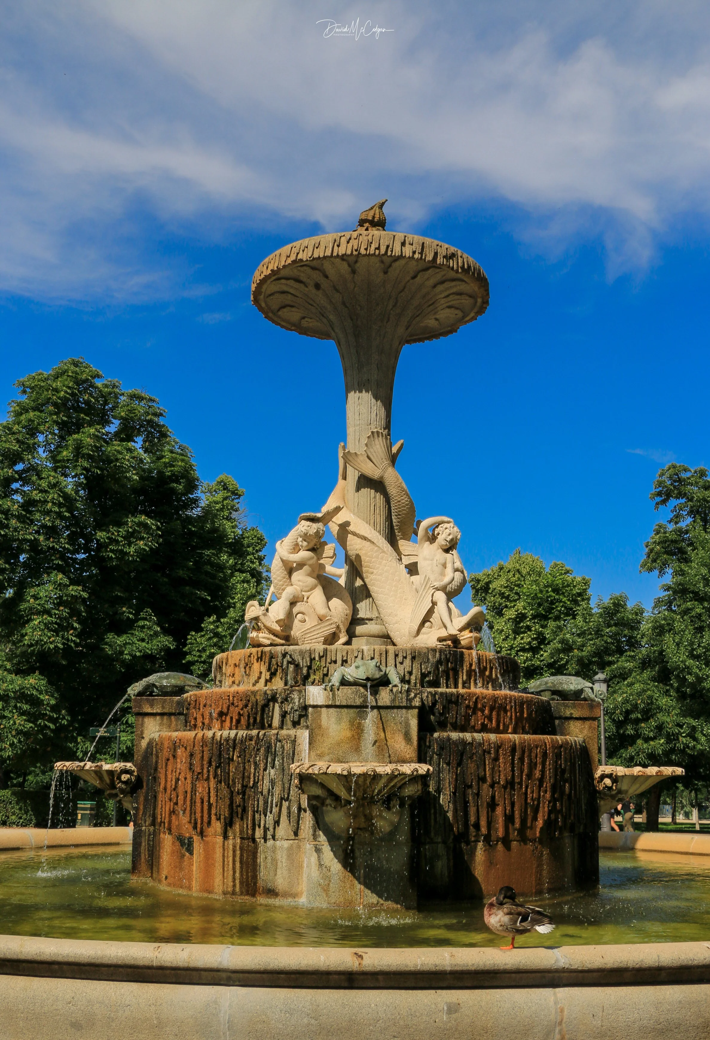 Fuente de los Galápagos, Parque de El Retiro