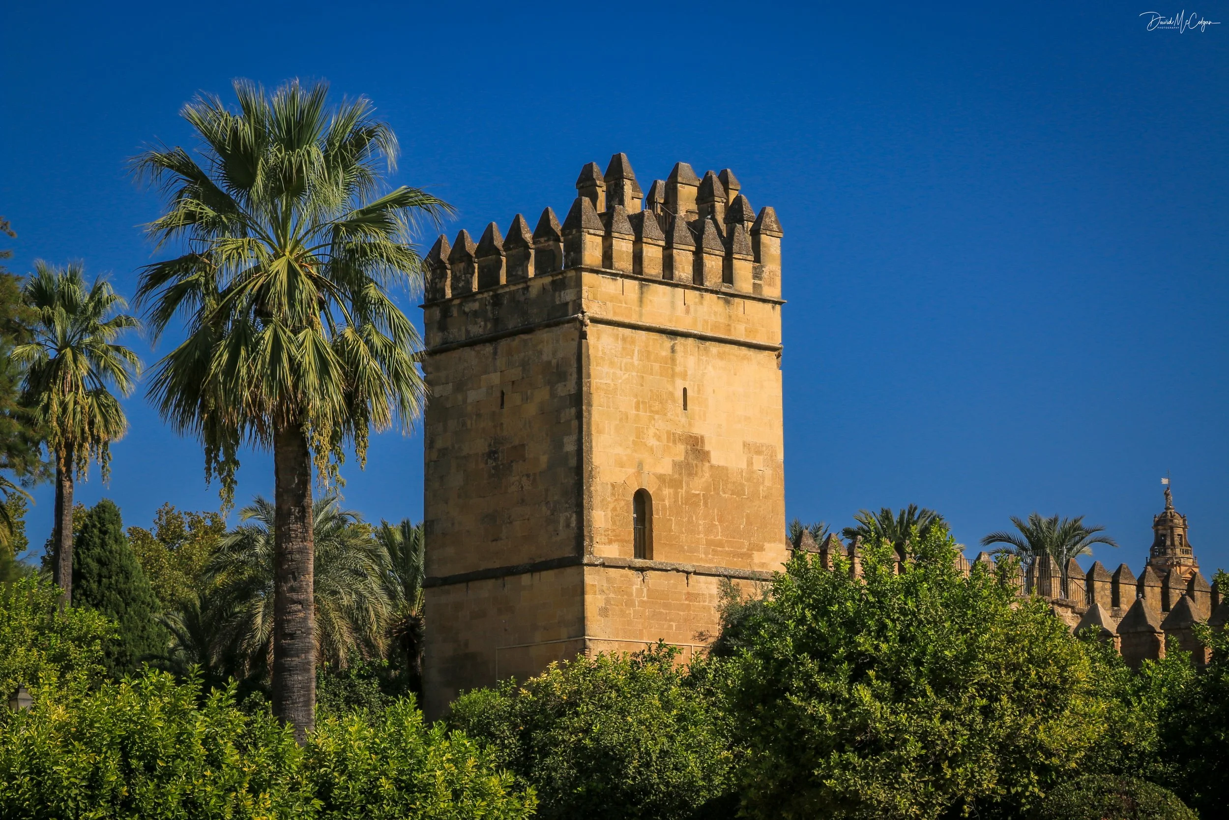 Torre de los Leones