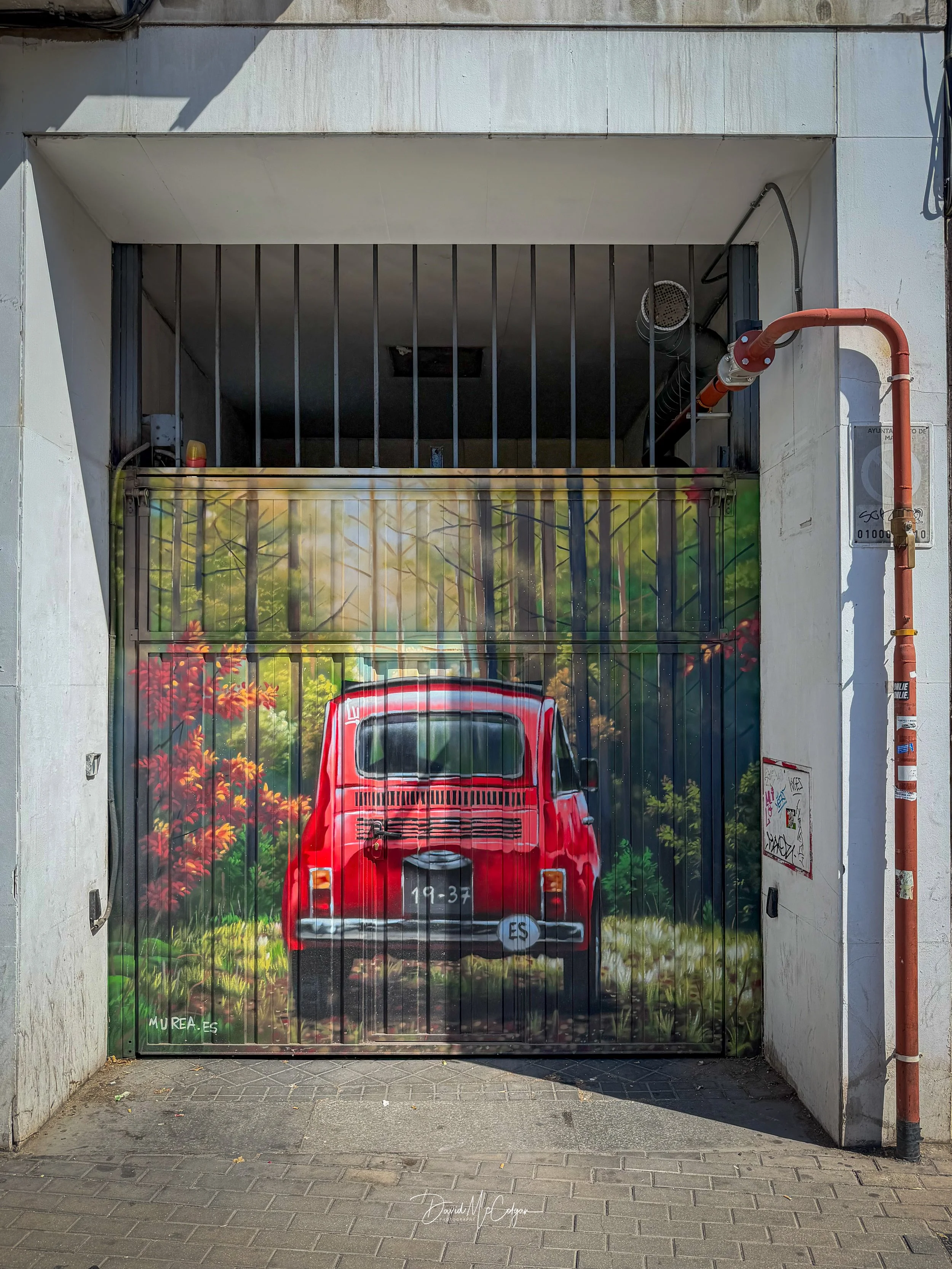 Garage Door Mural