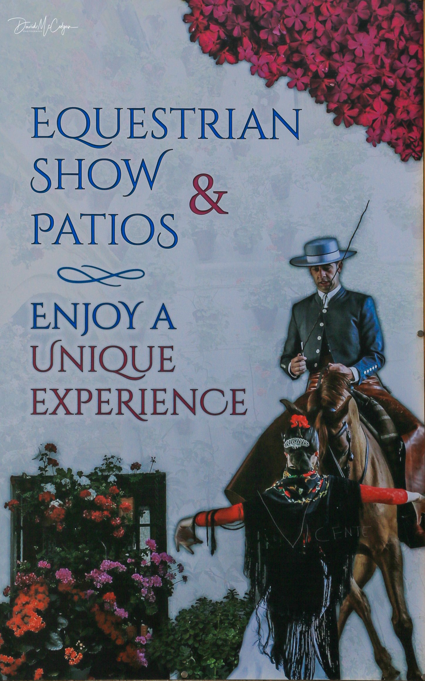 Equestrian Show