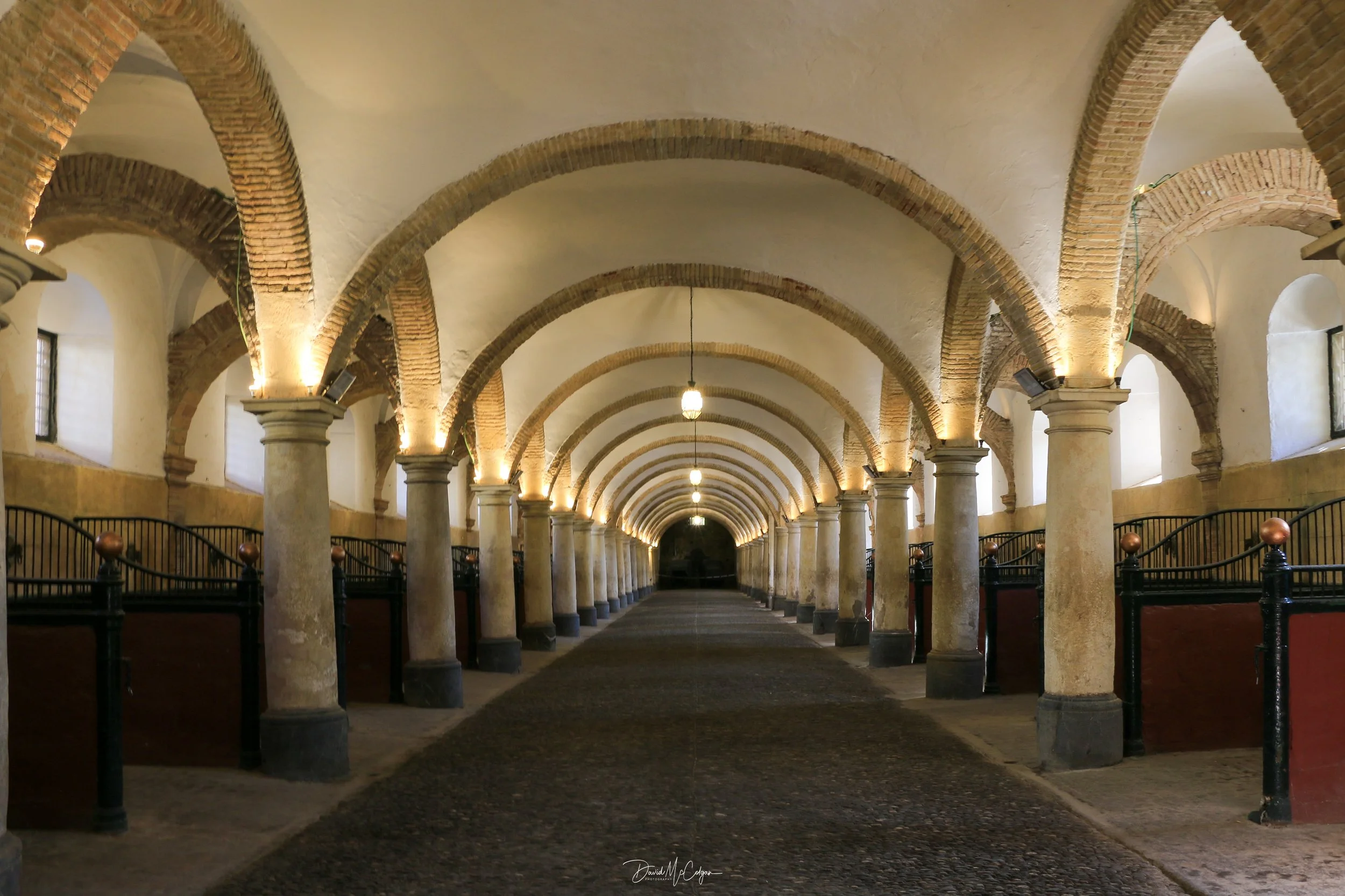 Córdoba Ecuestre Stables