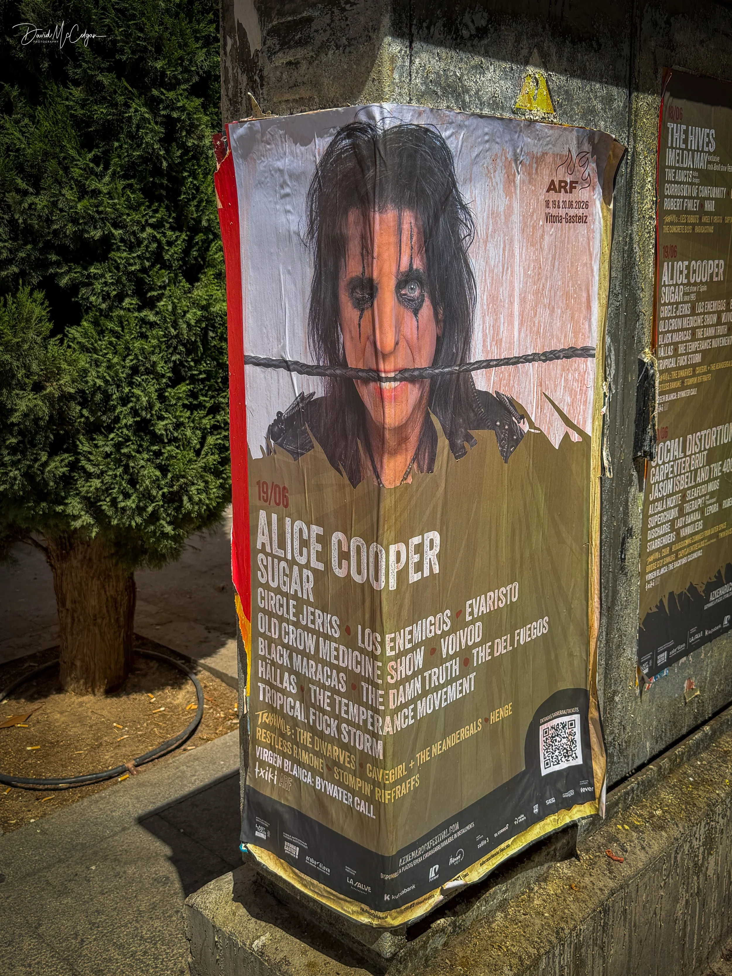 Alice Cooper Gig Poster