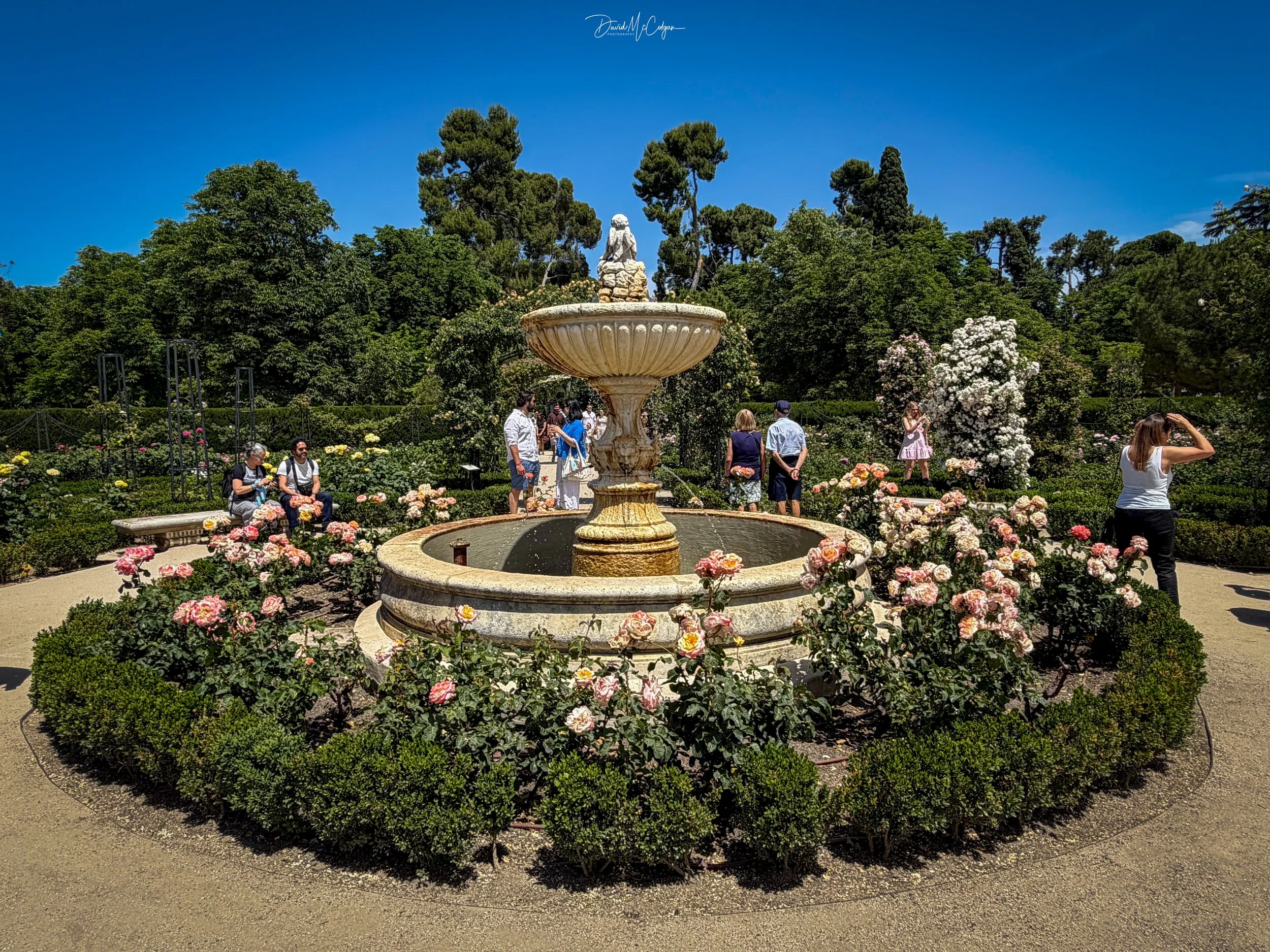 La Rosaleda (Cecilio Rodríguez), Parque de El Retiro