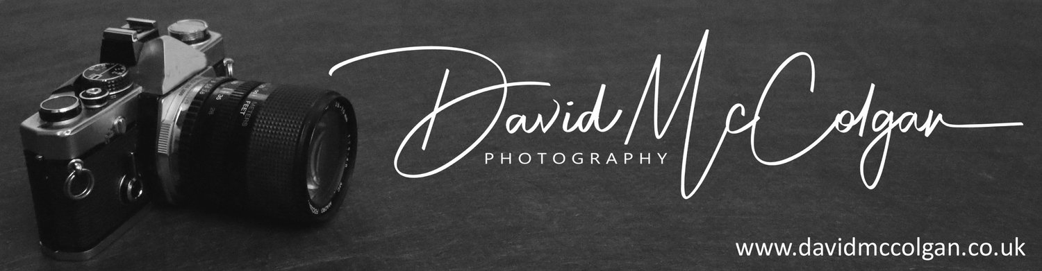 David McColgan Photography