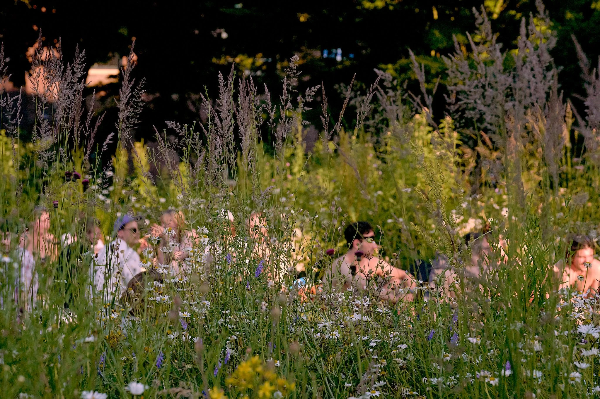 _DSC9289 - Photographed by Melchior Overdevest (1).jpg