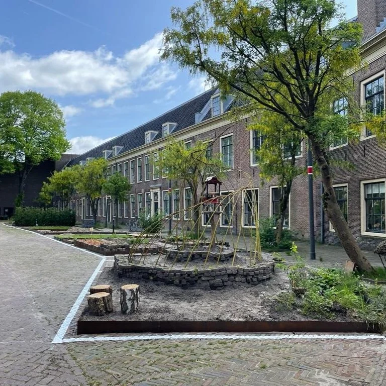 WhatsApp Image 2023-05-17 at 11.49.02.jpg