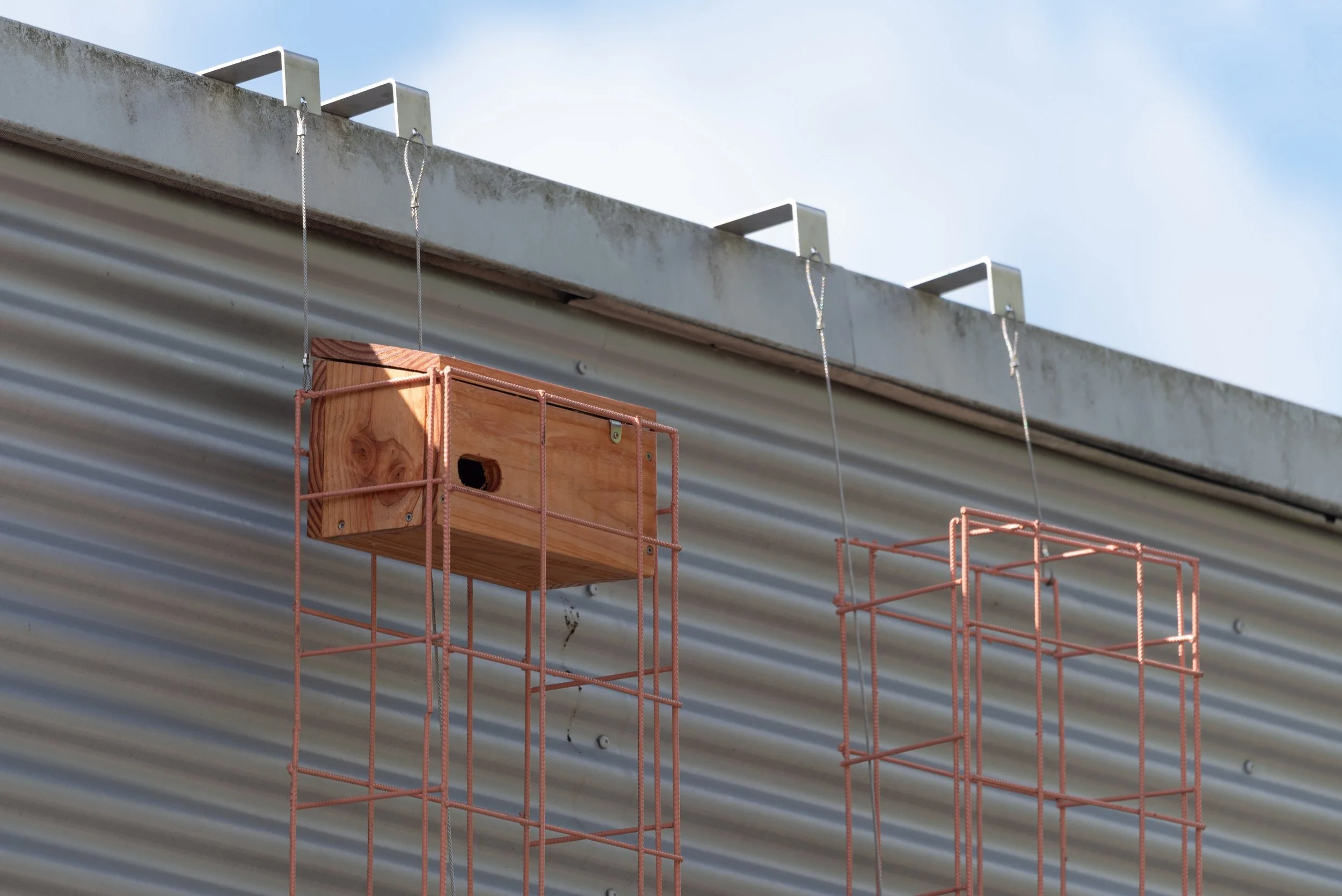 DSC_2093 (smaller).jpg