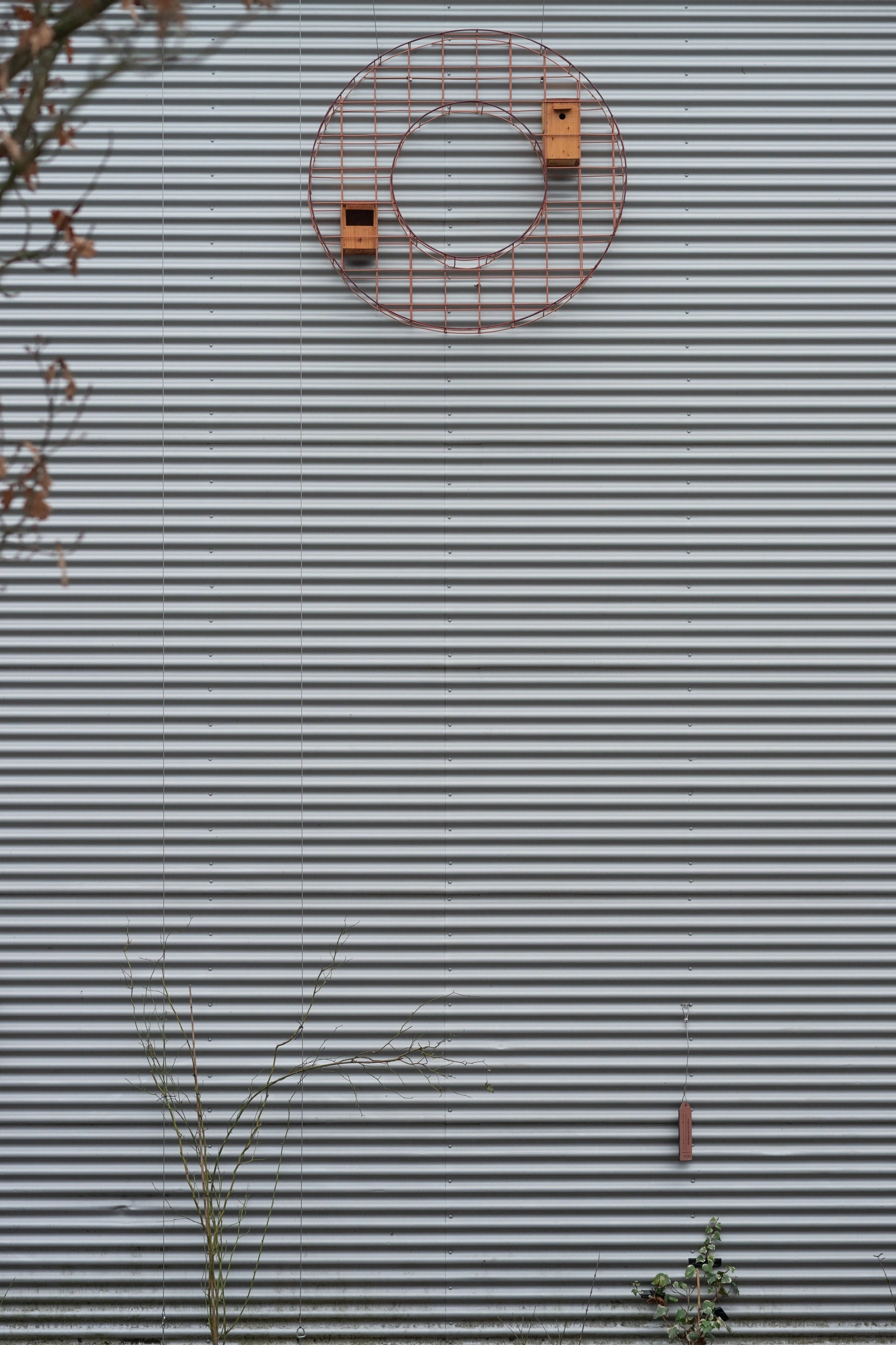 Z63_9266 (smaller).jpg