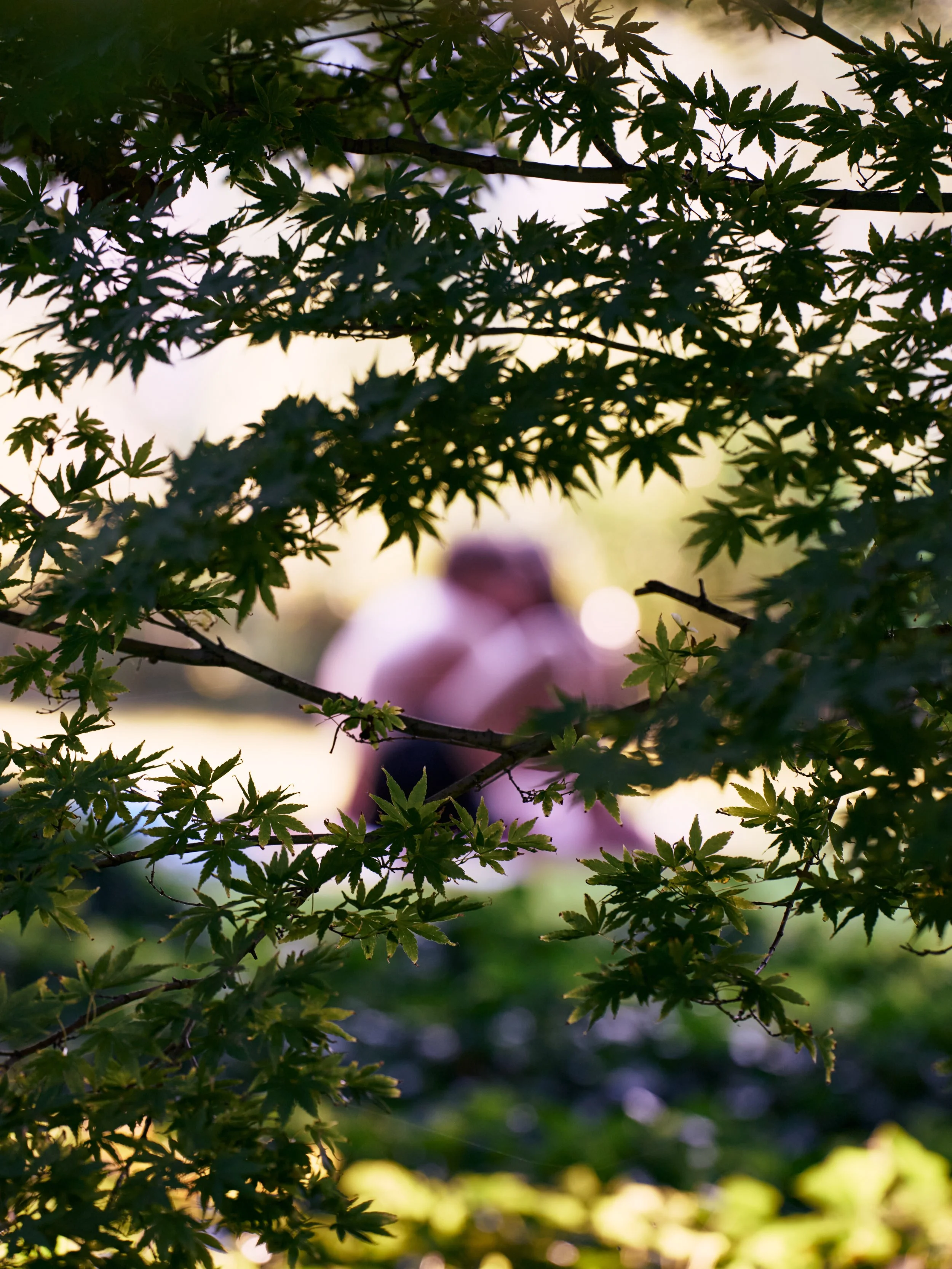 _DSC9298 - Photographed by Melchior Overdevest.jpg