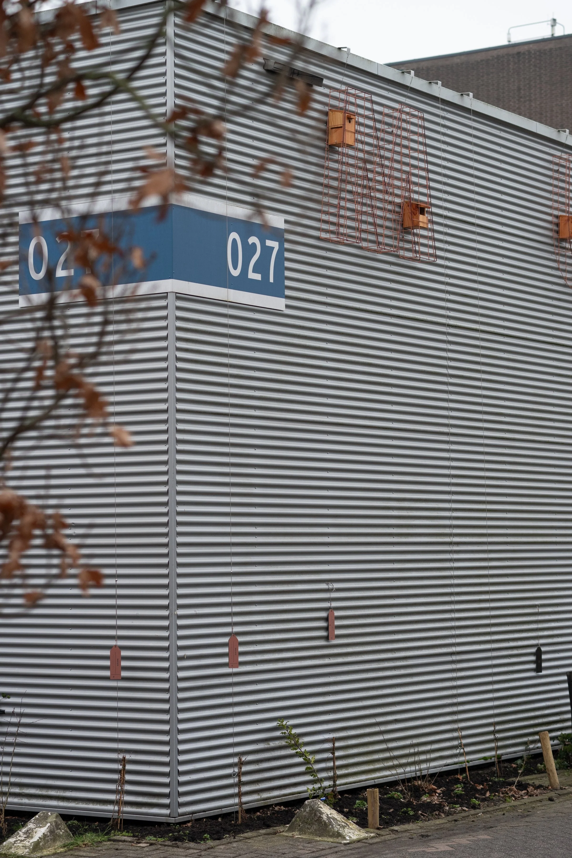 Z63_9267 (smaller).jpg