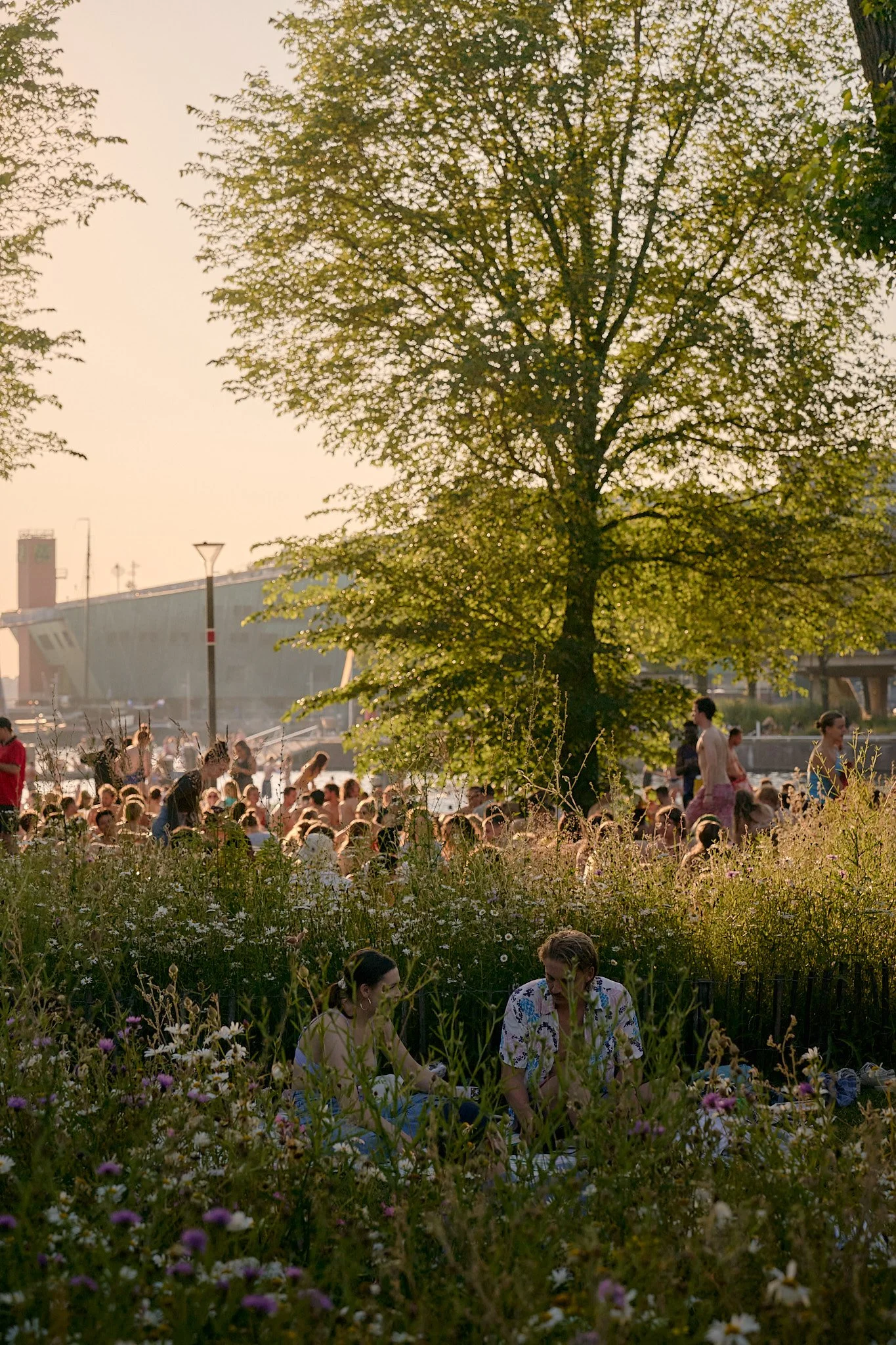 _DSC9288 - Photographed by Melchior Overdevest.jpg