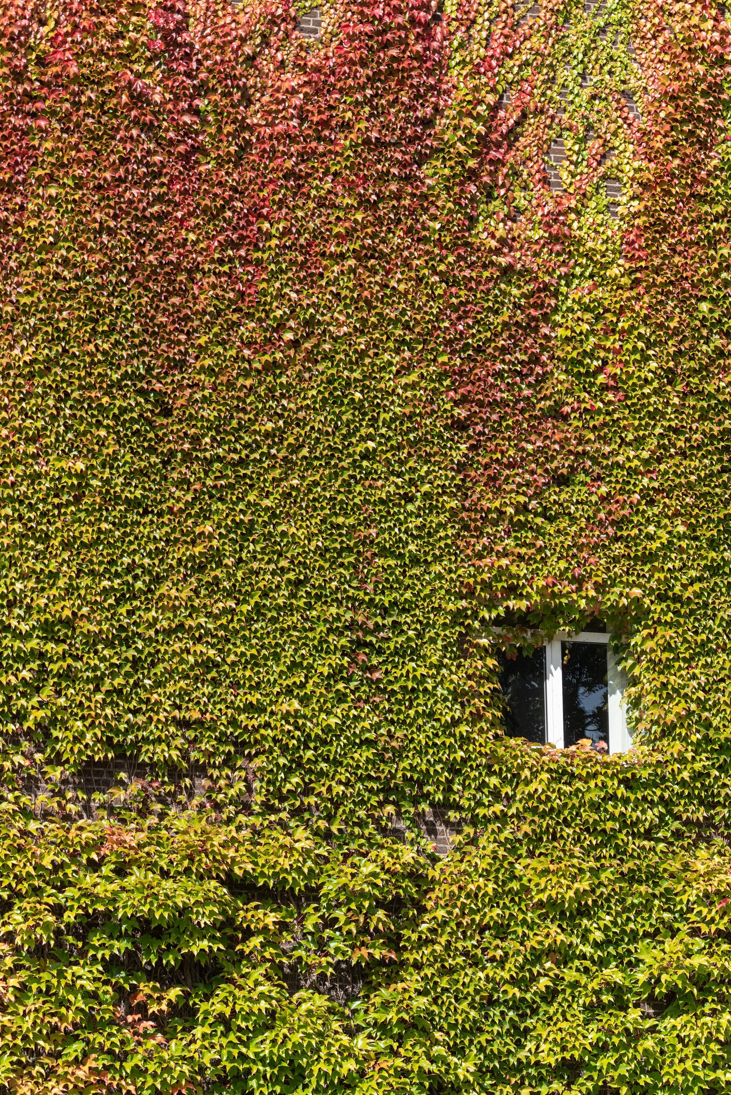 DSC_2007 (smaller).jpg