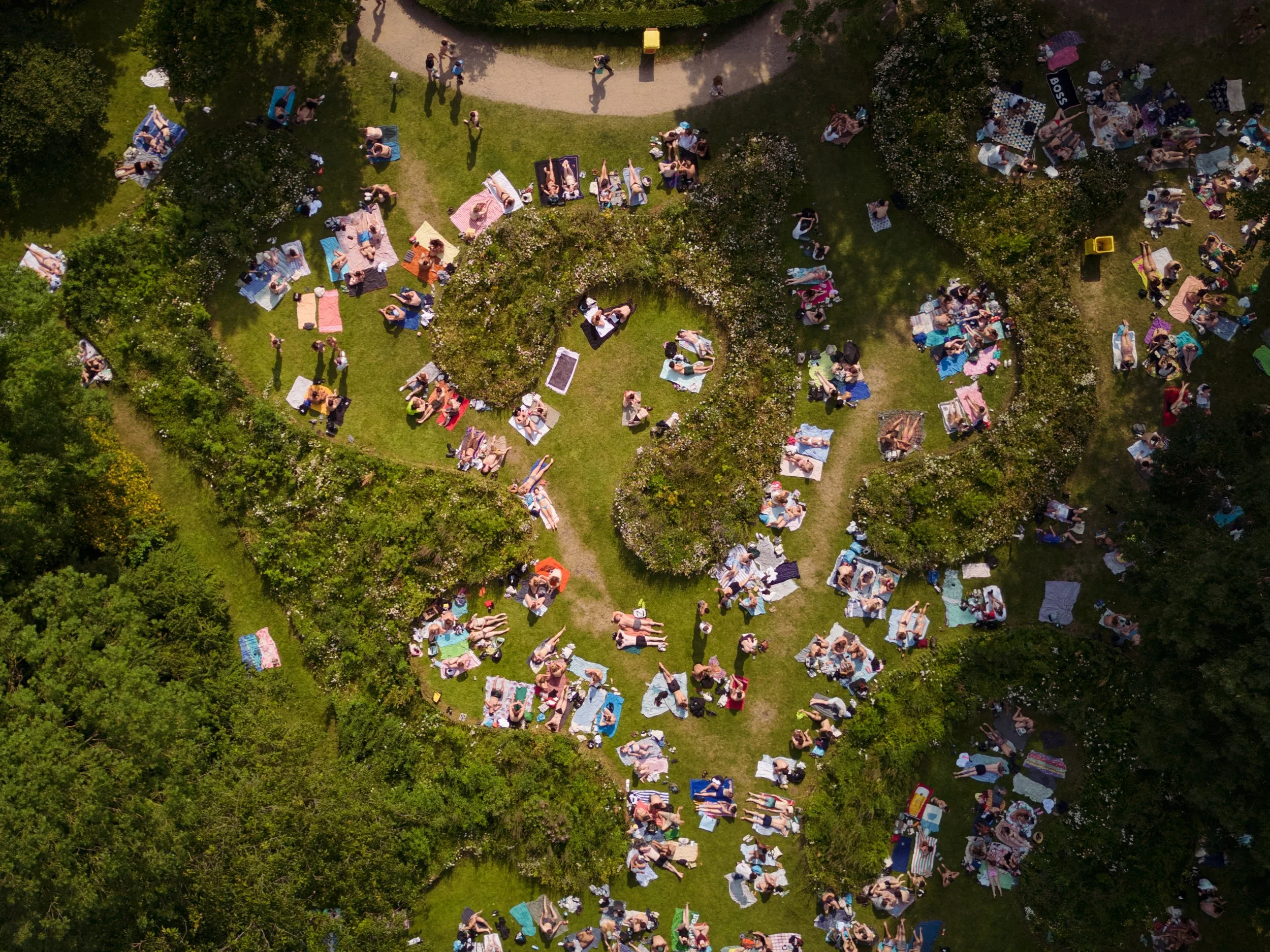 DJI_0132 - Photographed by Melchior Overdevest.jpg