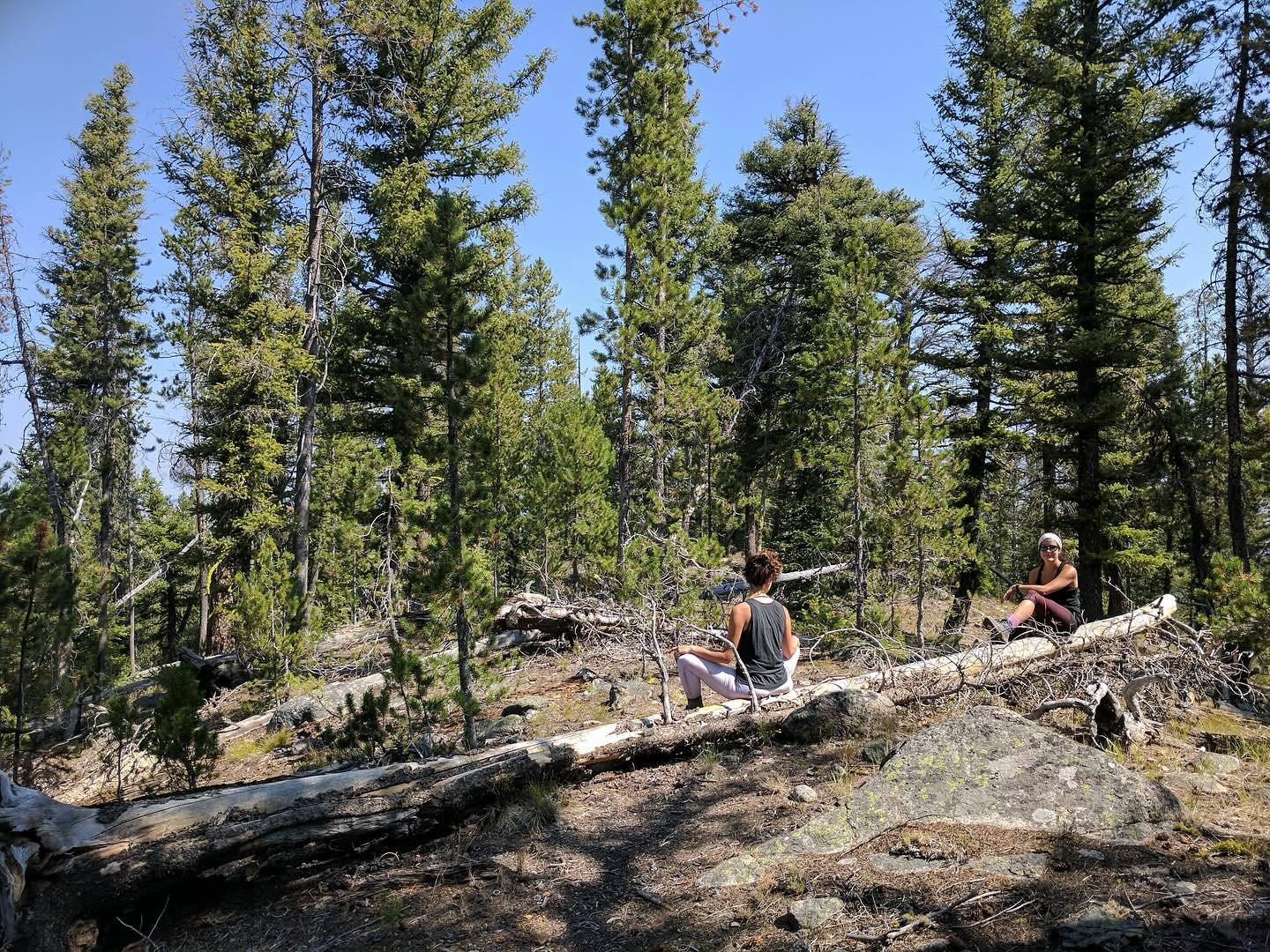 &ldquo;&lsquo;What have you been up to?&rsquo; I&rsquo;m asked on repeat. &lsquo;Becoming more like moss.&rsquo; I answer in my head. 

But instead of detailing on how I&rsquo;m doing everything in my power to remain soft, vibrant, nutrient-dense, an