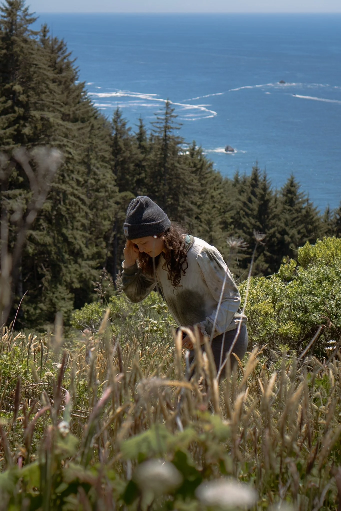 Reframing our Relationship to Plants