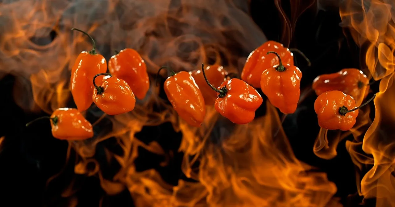 gindos1 copy.MOV.01_00_05_12.Still001.jpg