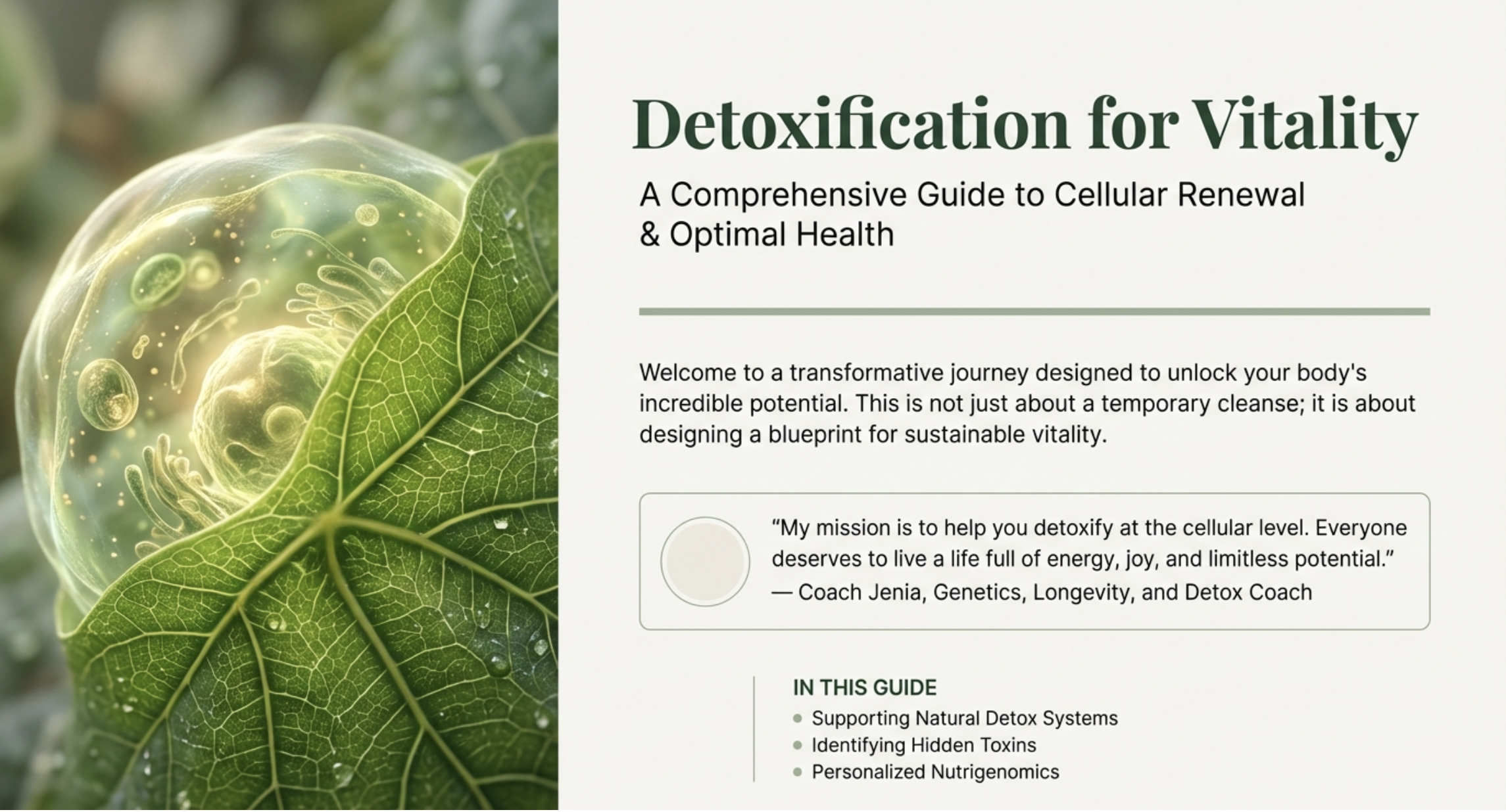 Detoxification for Vitality Course - Introduction