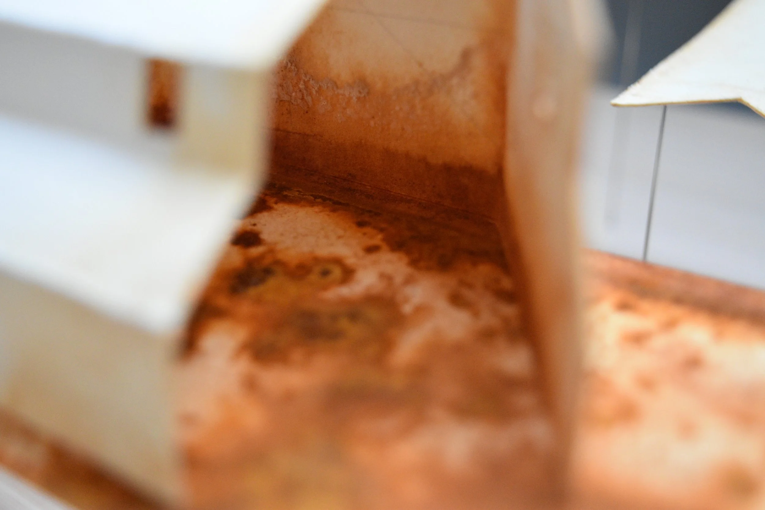 From a Country Lane III. 2025. (detail)
Paper, iron oxide (rust), salt, wire and plywood, 17 x 20 x 8 in. NFS