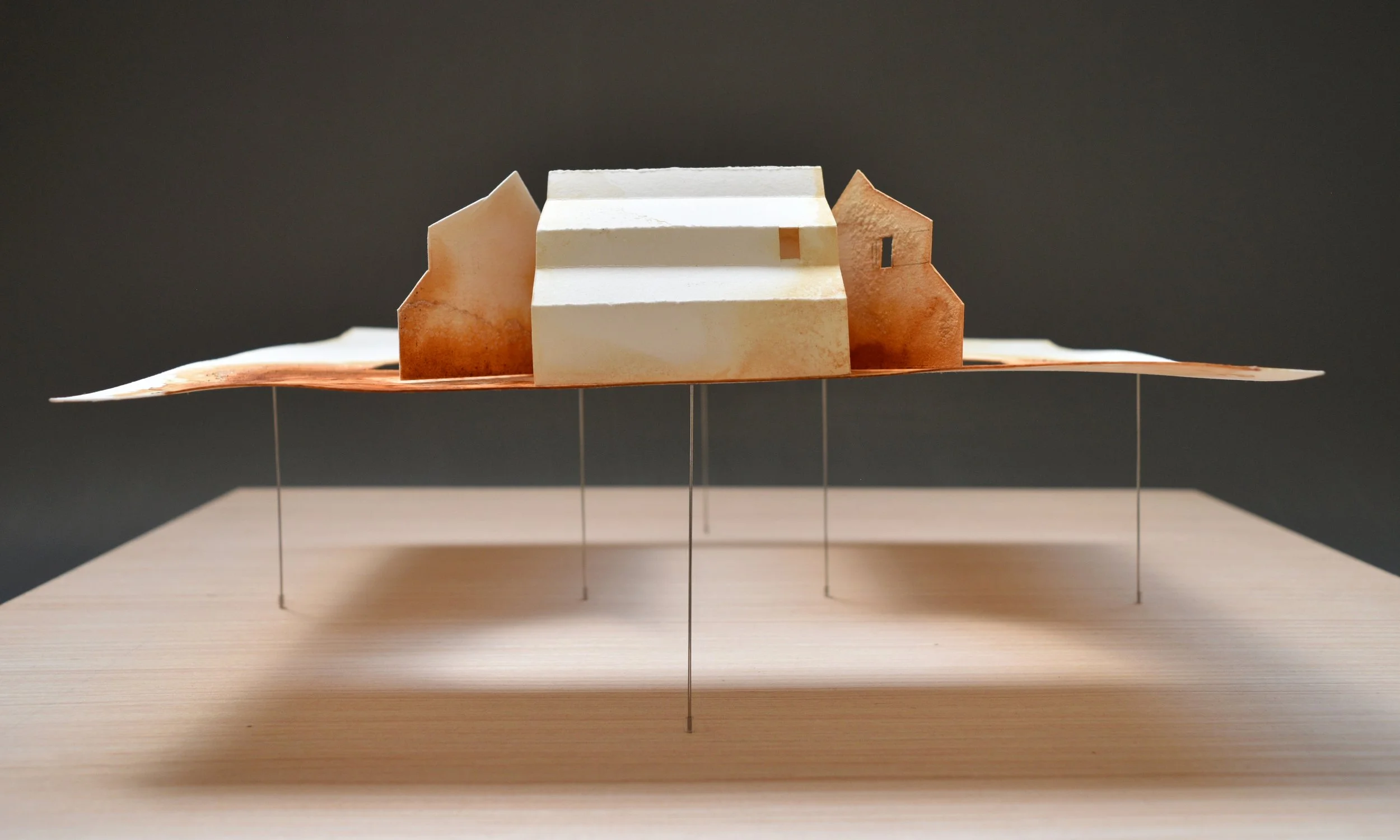 From a Country Lane III. 2025. (detail)
Paper, iron oxide (rust), salt, wire and plywood, 17 x 20 x 8 in. NFS