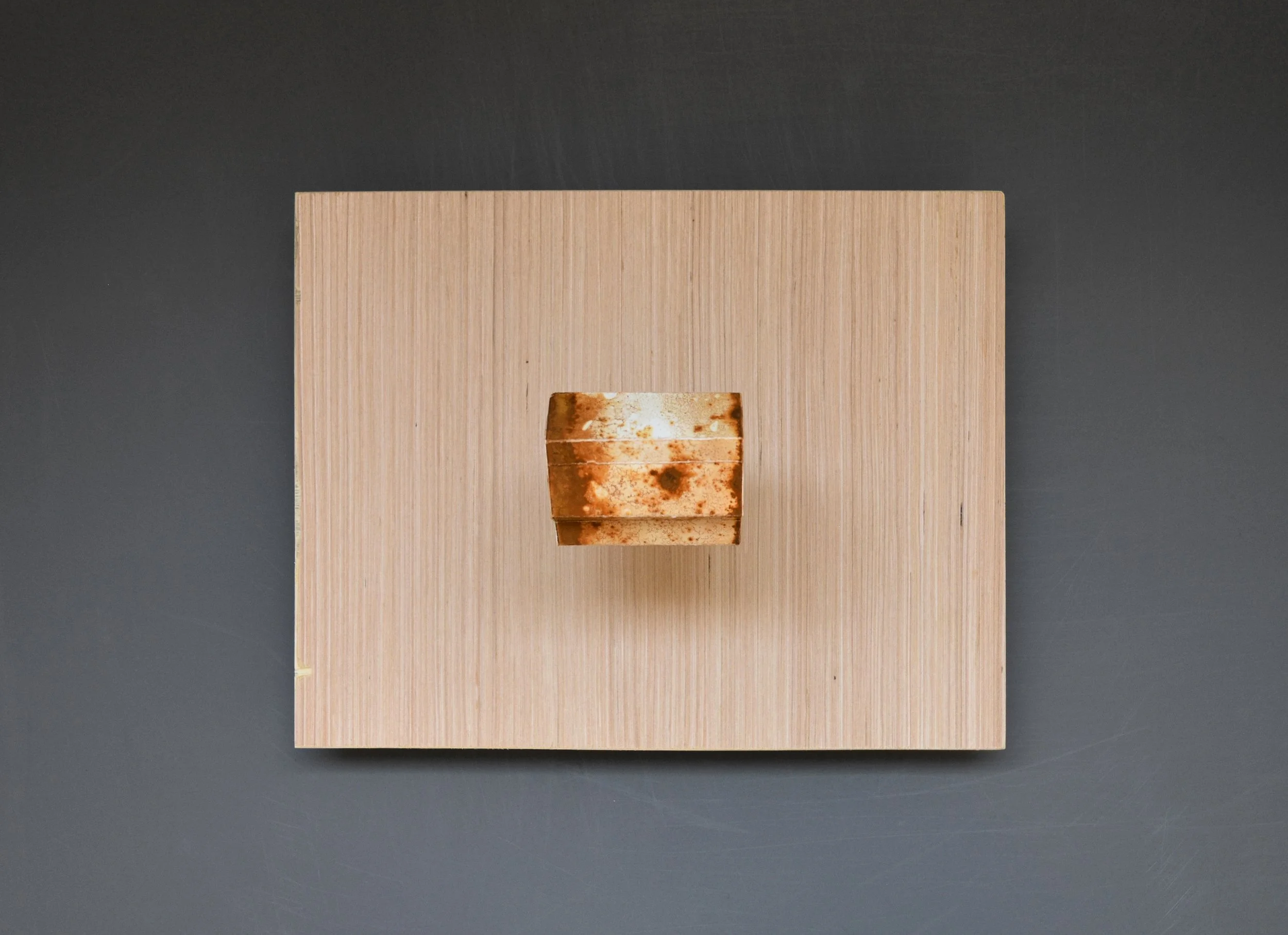 From a Country Lane II. 2025. (birdseye view)
Paper, iron oxide (rust), salt, wire and plywood, 11 x 14 x 8 in. NFS