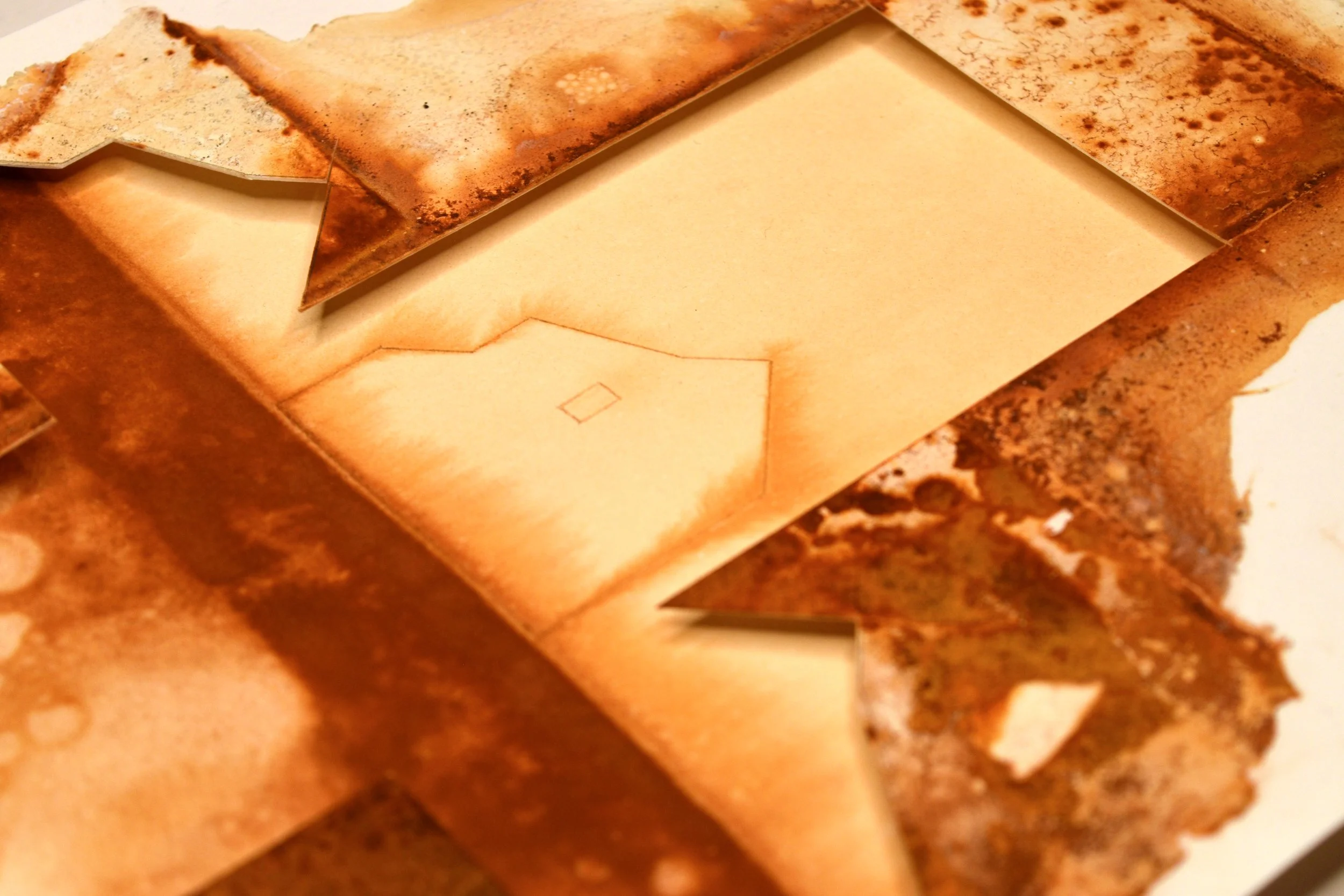 From a Country Lane I. 2025. (detail)
Paper, iron oxide (rust), salt, wire and plywood, 11.75 x 9.25 in. NFS