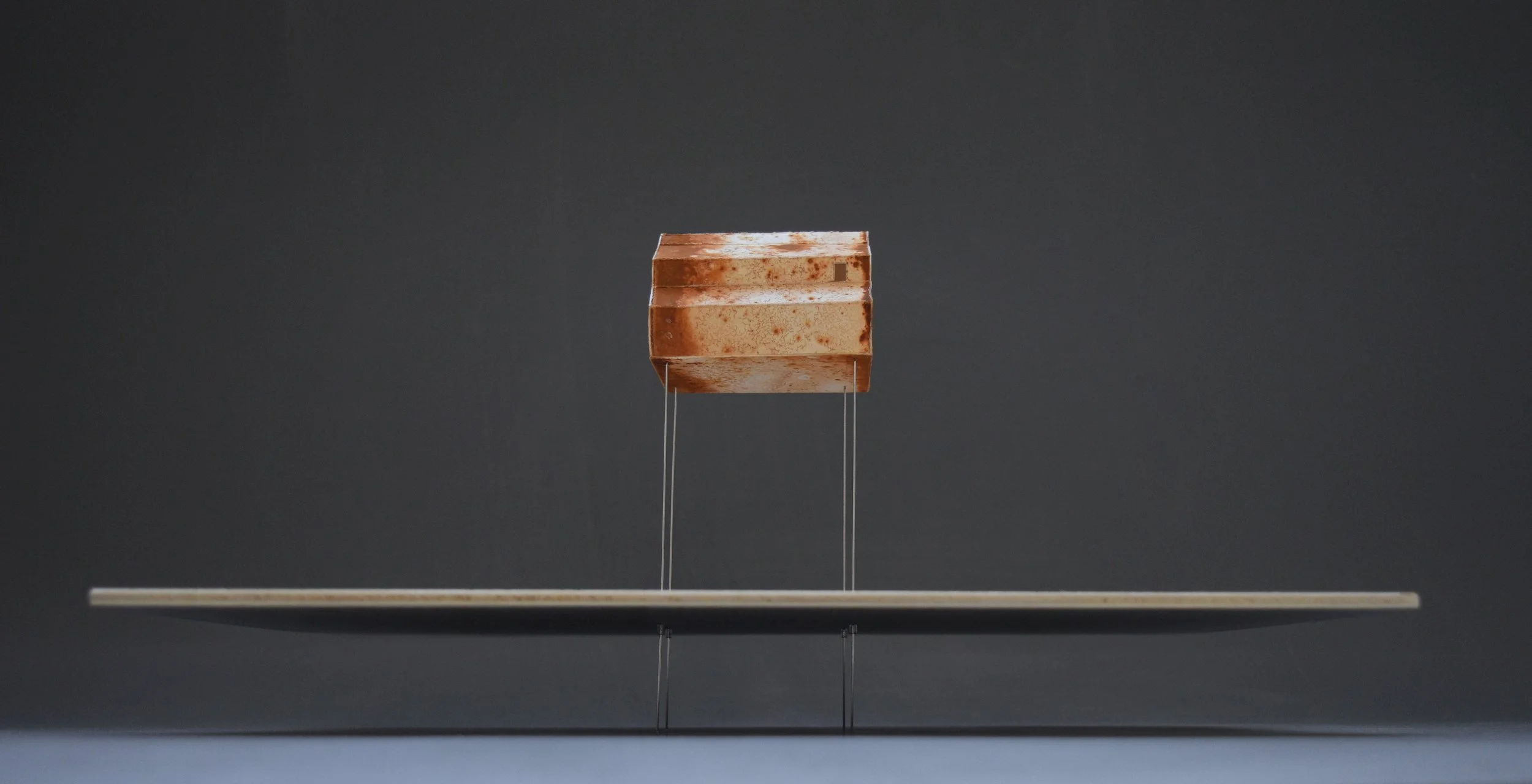 From a Country Lane II. 2025. (front view)
Paper, iron oxide (rust), salt, wire and plywood, 11 x 14 x 8 in. NFS