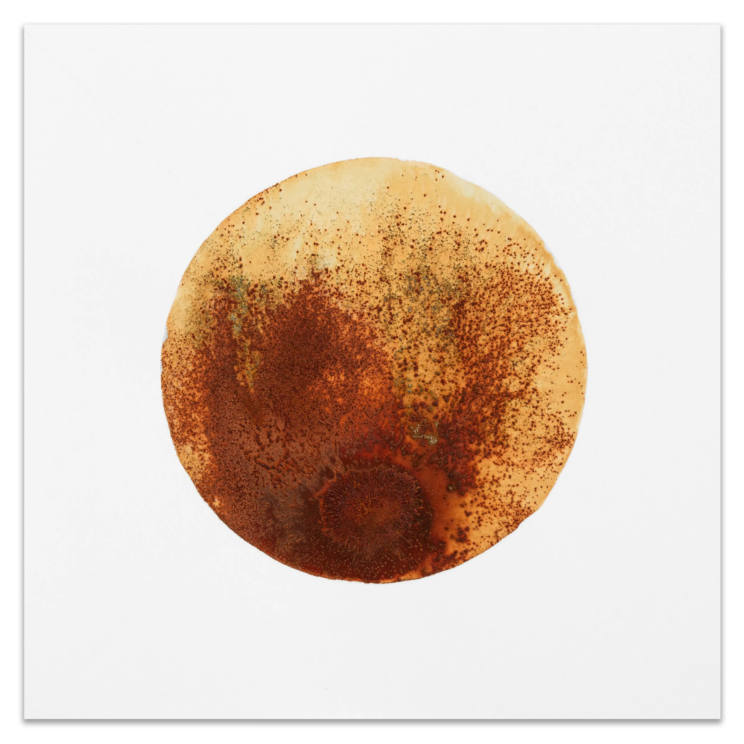 HUDF LF / Attractors I. 2025. Rust, copper corrosion, vinegar, hydrogen peroxide and salt on paper. 10x10 in.