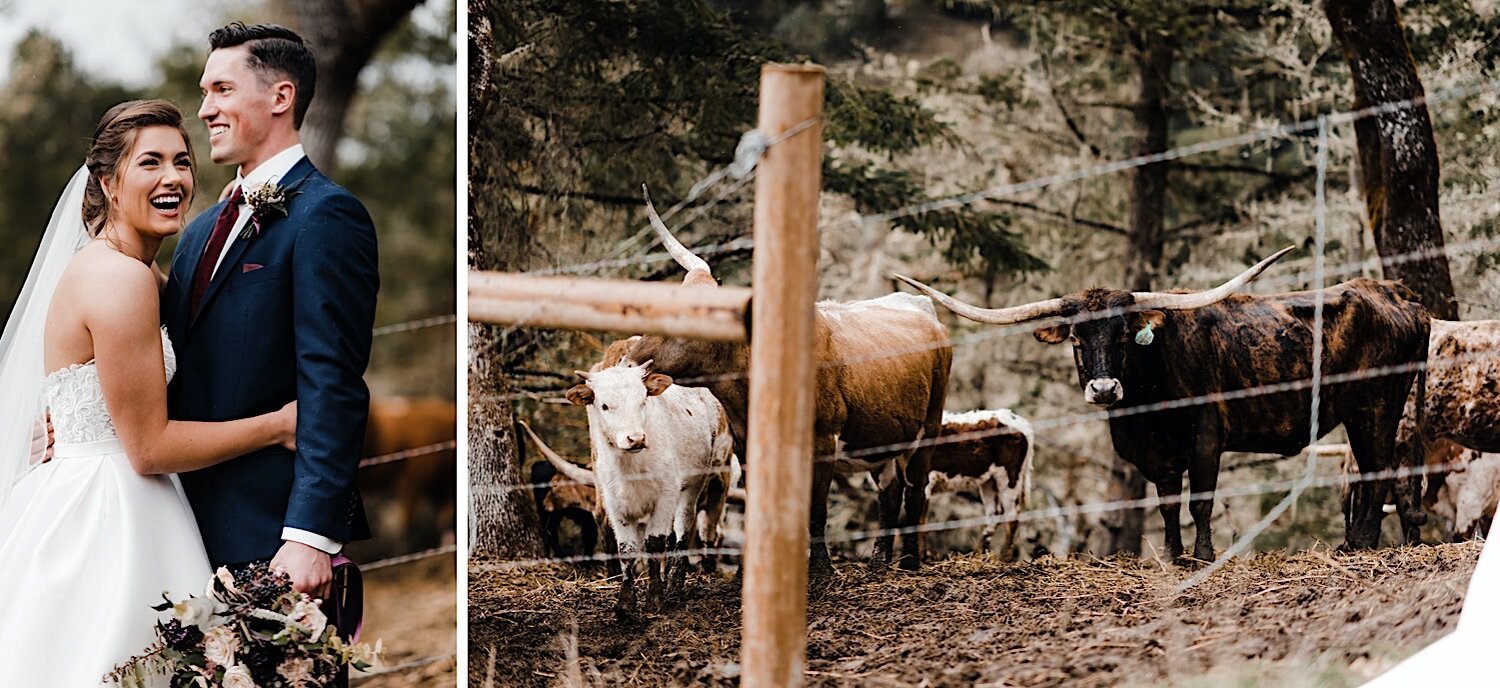 29_Caddock_Wedding-4496_Caddock_Wedding-4532_ranch_longhorn_oregon_Bride_Wedding.jpg