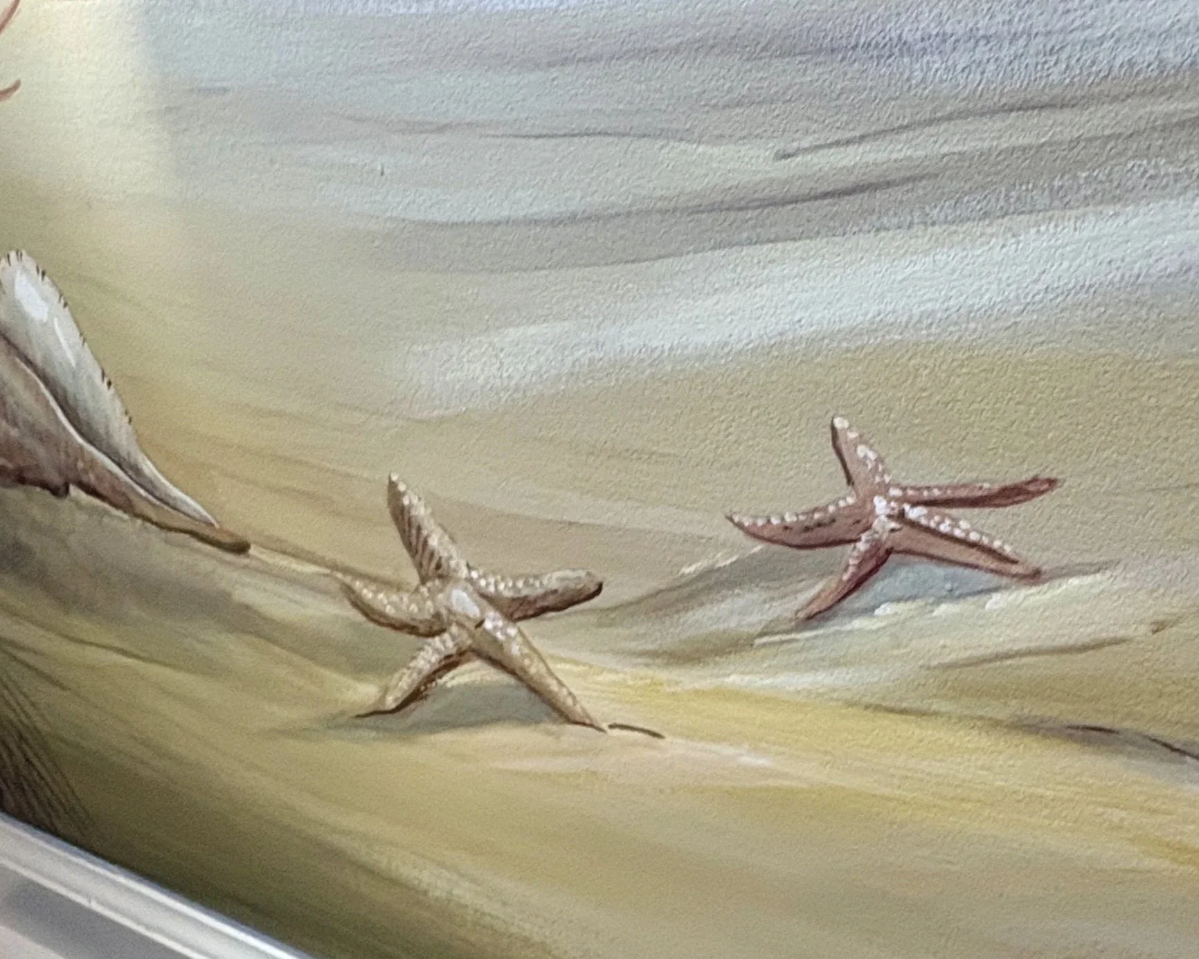 Starfish detail