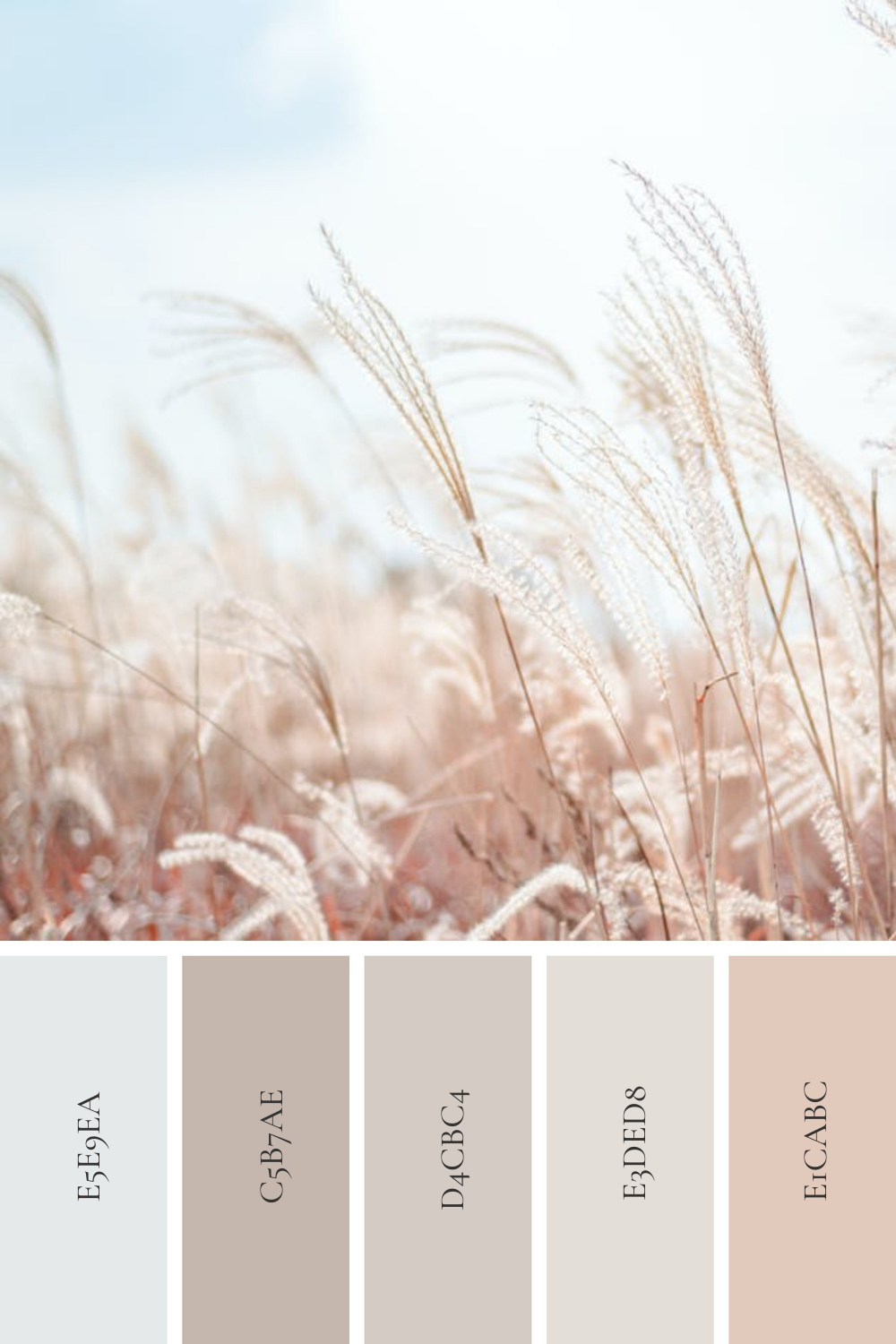 NatureInspired Color Palettes — Kunitsa Home